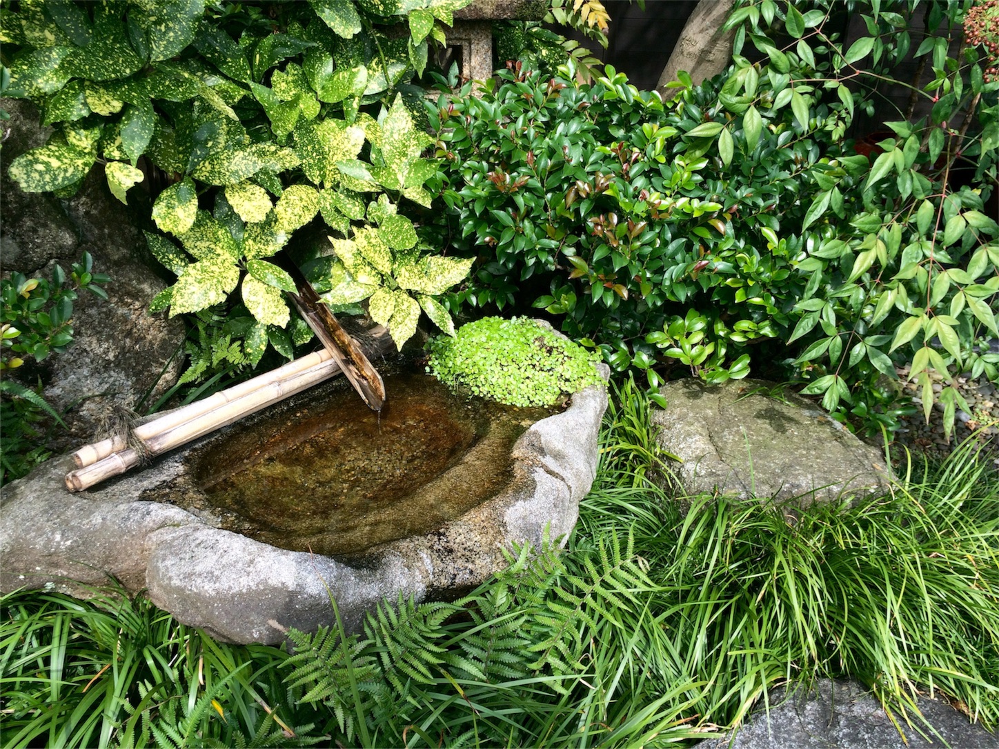 f:id:m-hatch:20150921011018j:image f:id:m-hatch:20150921011018j:image