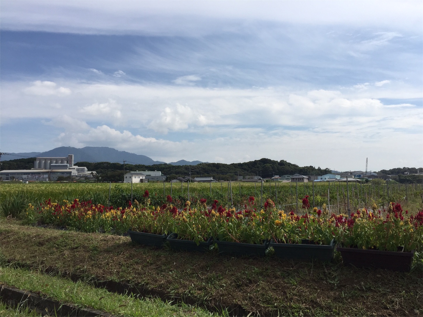f:id:m-hatch:20150921011251j:image f:id:m-hatch:20150921011251j:image