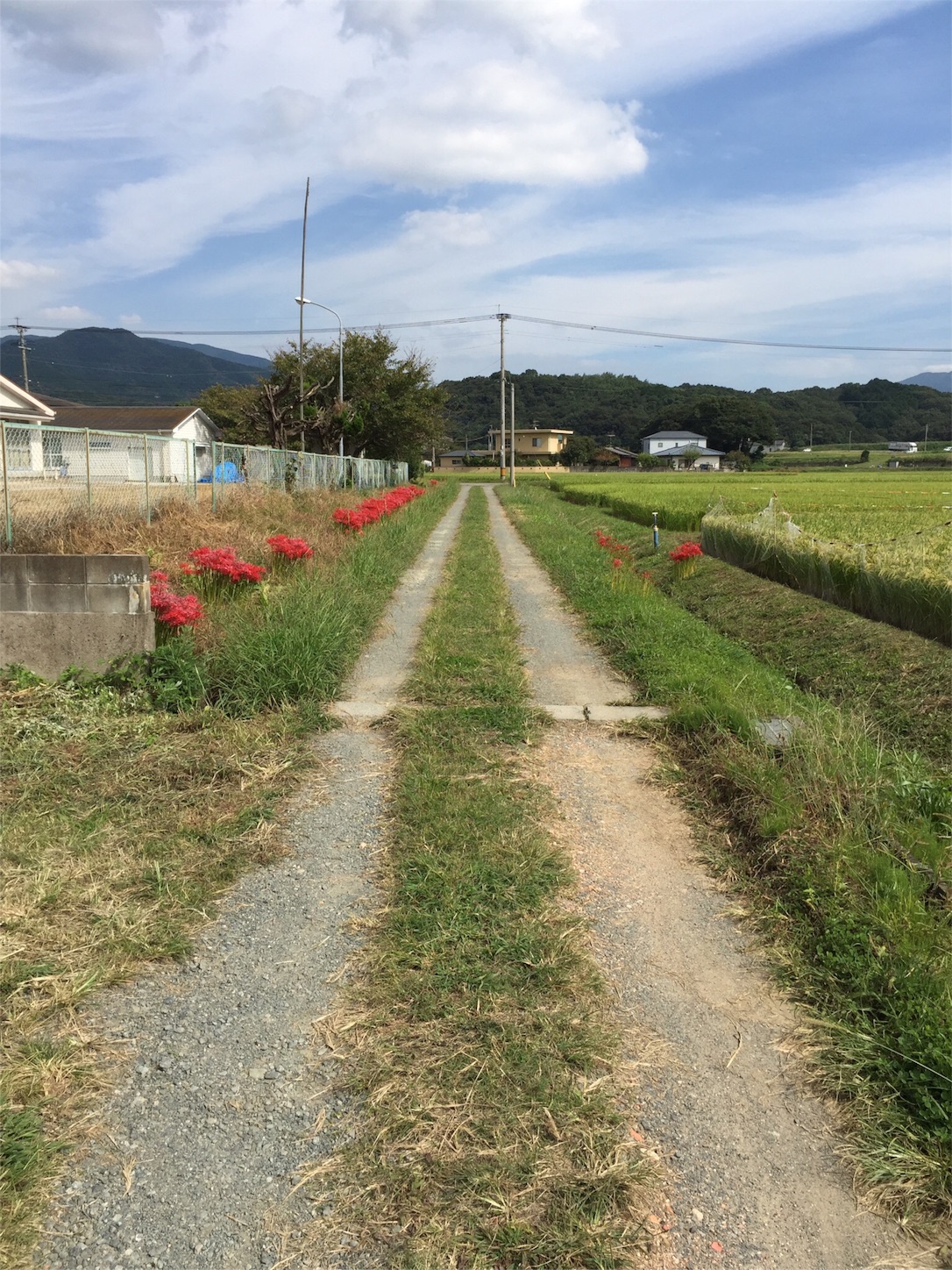 f:id:m-hatch:20150921011305j:image f:id:m-hatch:20150921011305j:image