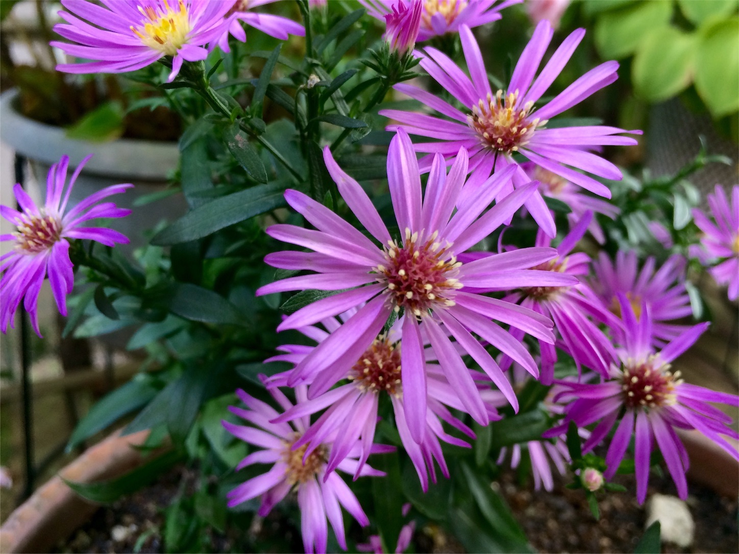 f:id:m-hatch:20150922224319j:image f:id:m-hatch:20150922224319j:image