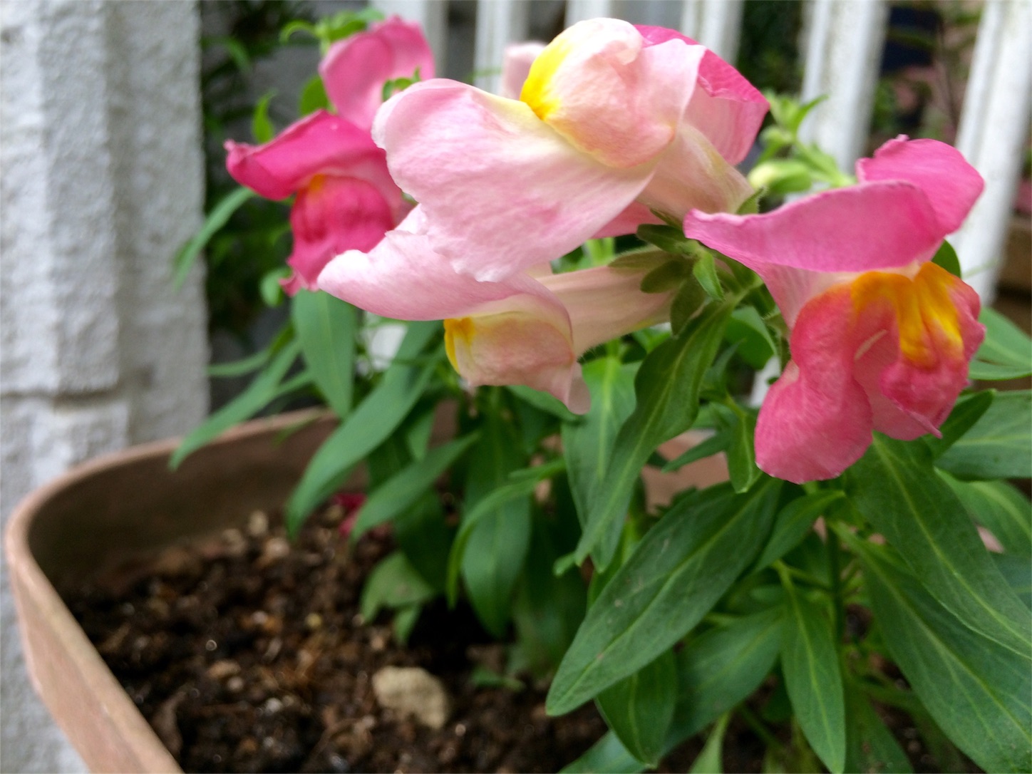 f:id:m-hatch:20150922224515j:image f:id:m-hatch:20150922224515j:image