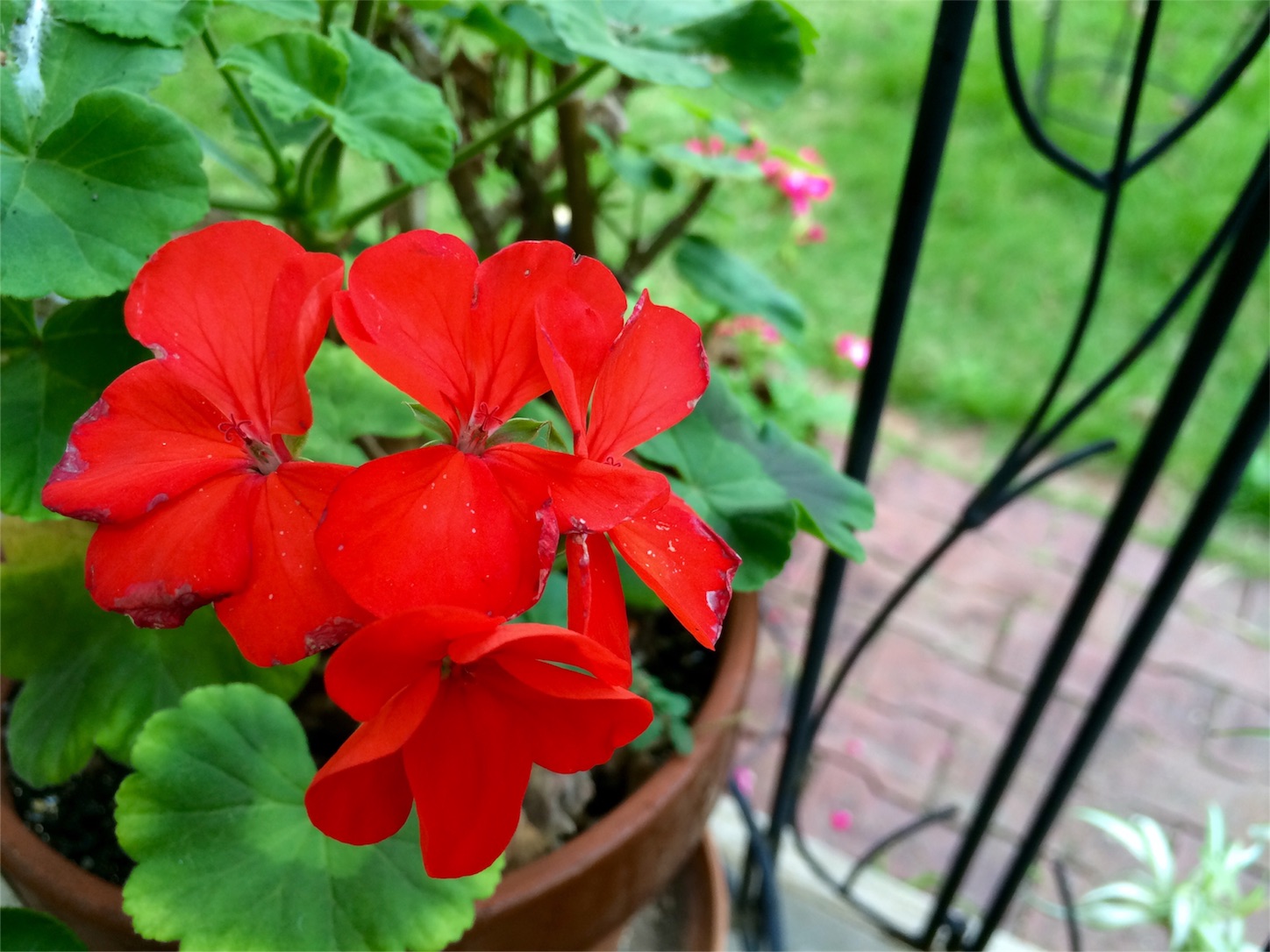 f:id:m-hatch:20150922224710j:image f:id:m-hatch:20150922224710j:image