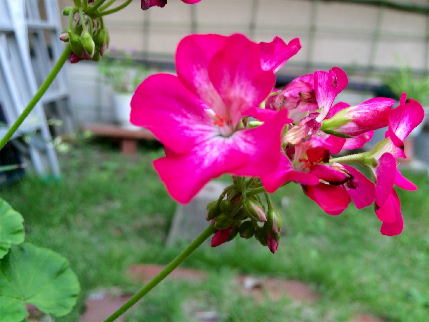 f:id:m-hatch:20150922224754j:image f:id:m-hatch:20150922224754j:image