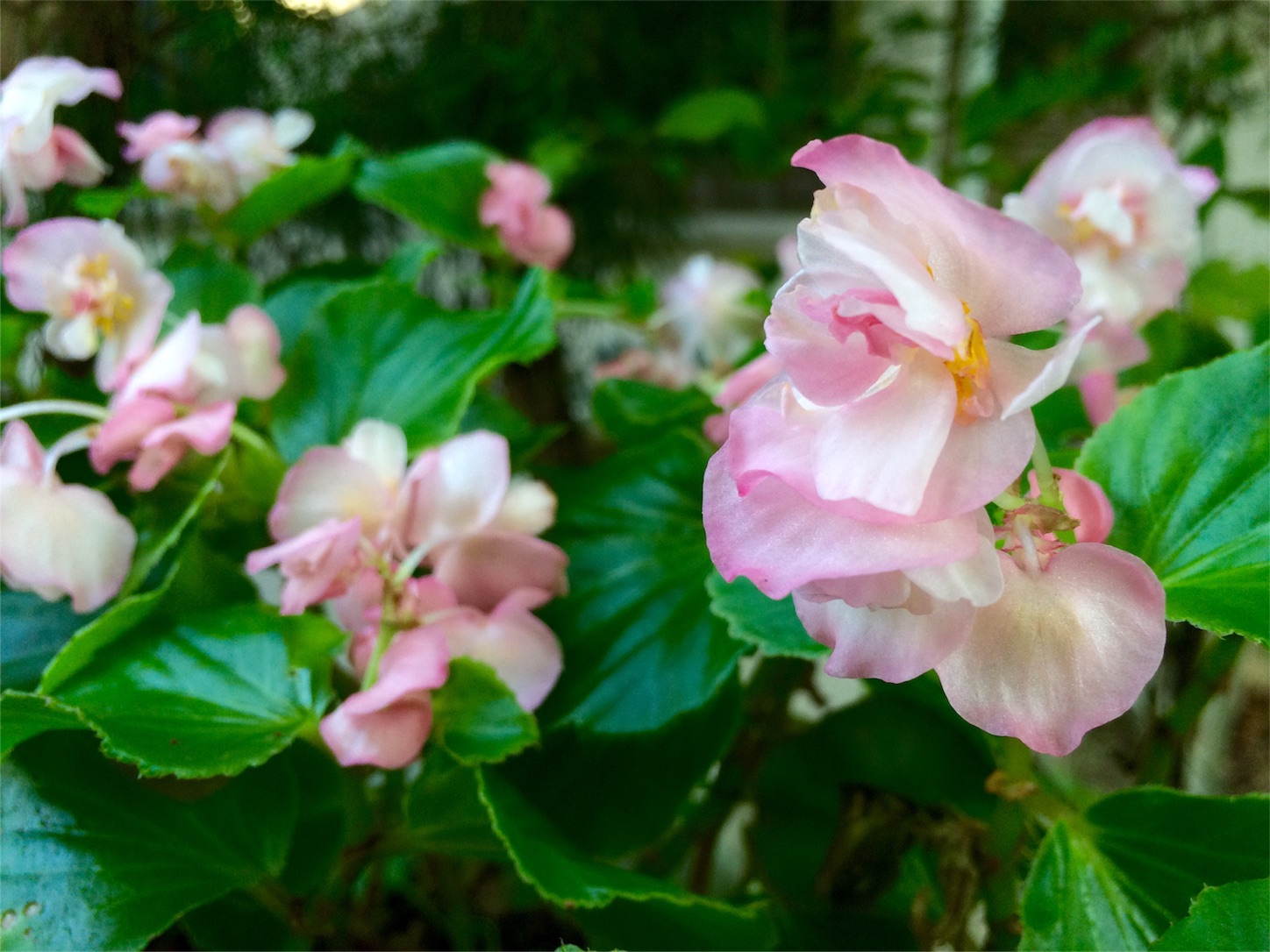 f:id:m-hatch:20150922224936j:image f:id:m-hatch:20150922224936j:image