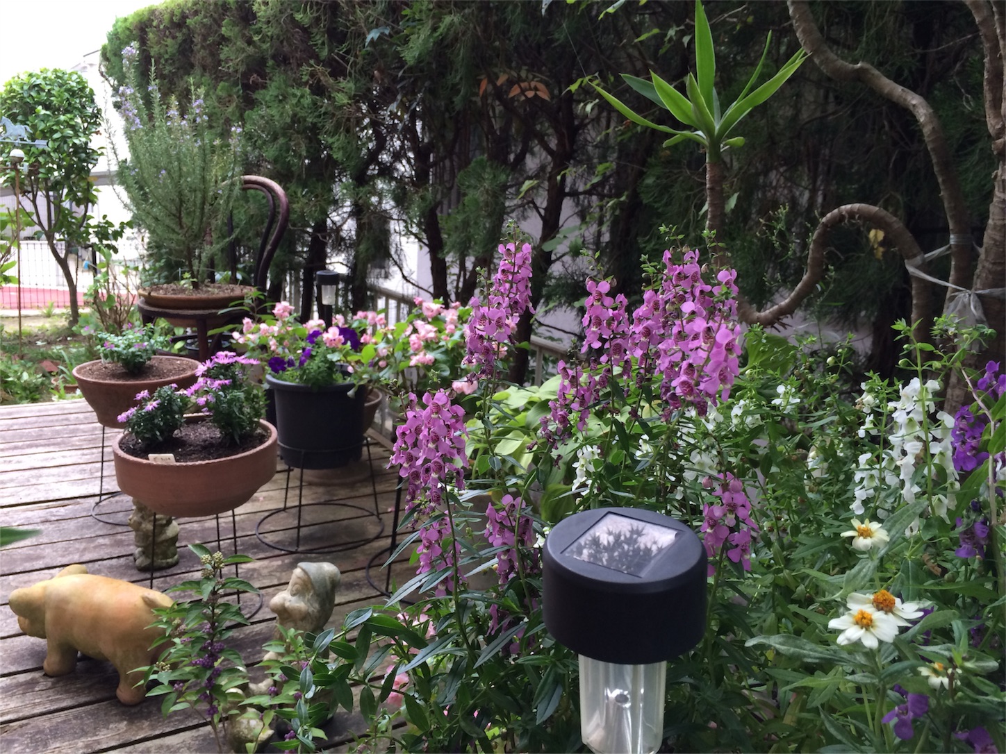 f:id:m-hatch:20150923180741j:image f:id:m-hatch:20150923180741j:image