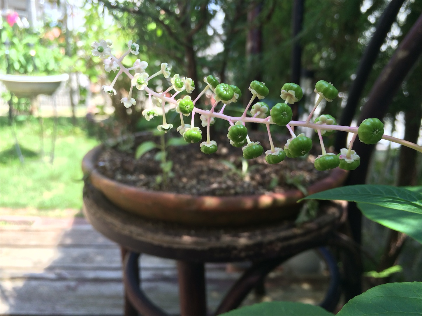 f:id:m-hatch:20150923182051j:image f:id:m-hatch:20150923182051j:image