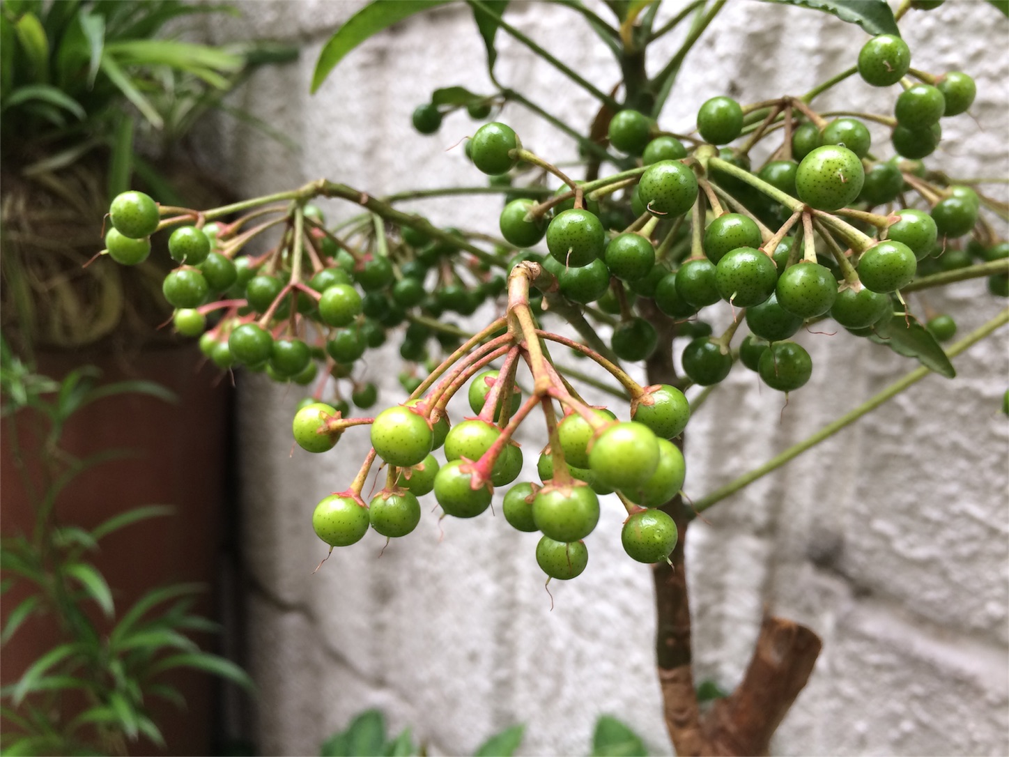 f:id:m-hatch:20150923183629j:image f:id:m-hatch:20150923183629j:image