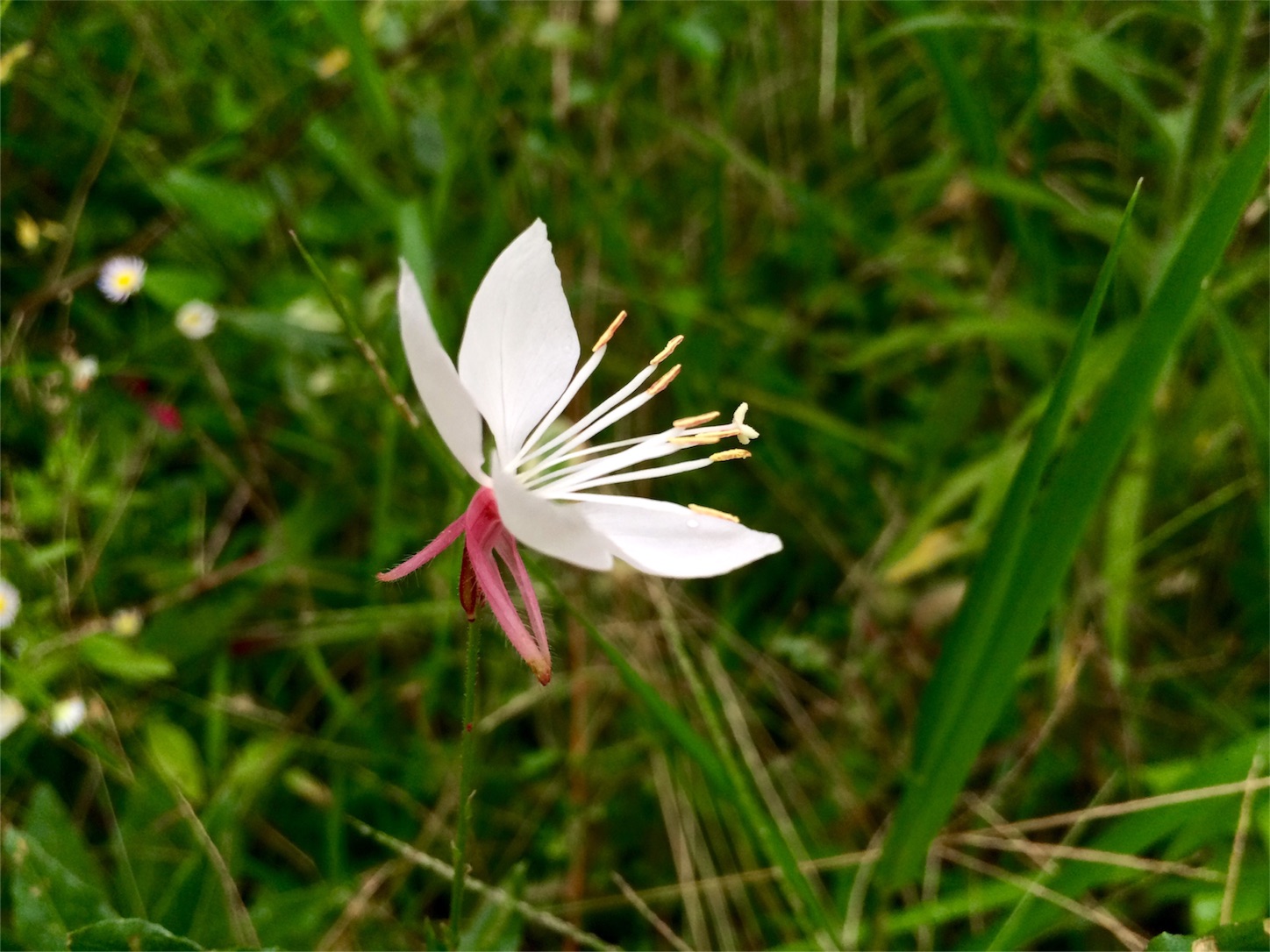 f:id:m-hatch:20150924223411j:image f:id:m-hatch:20150924223411j:image