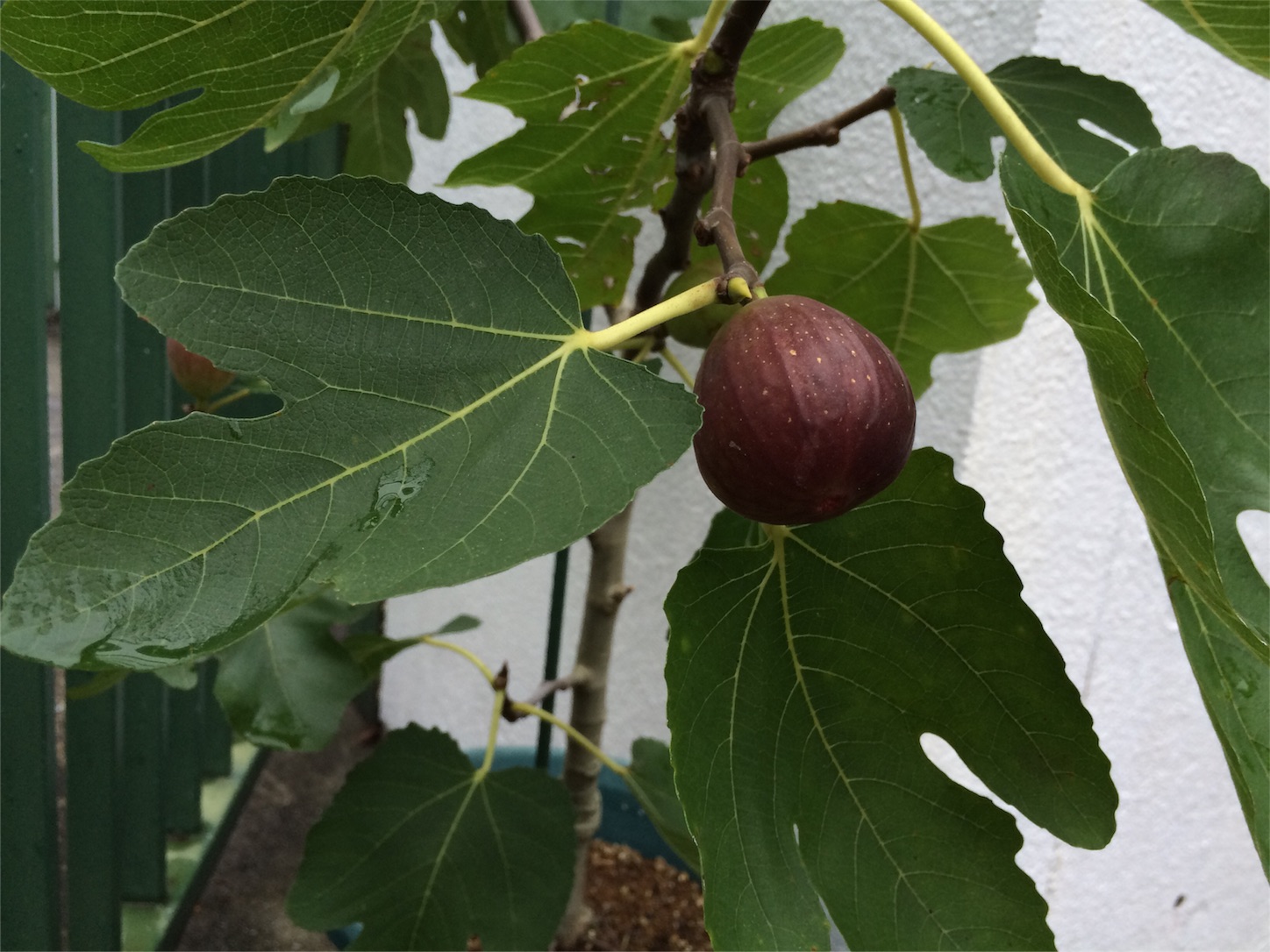 f:id:m-hatch:20150925215339j:image f:id:m-hatch:20150925215339j:image