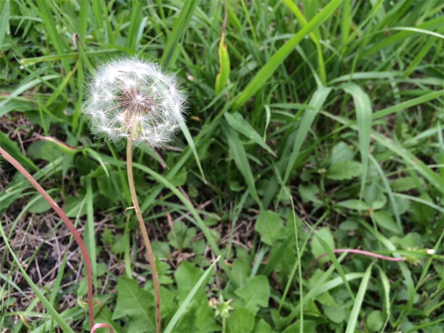 f:id:m-hatch:20150926192546j:image f:id:m-hatch:20150926192546j:image
