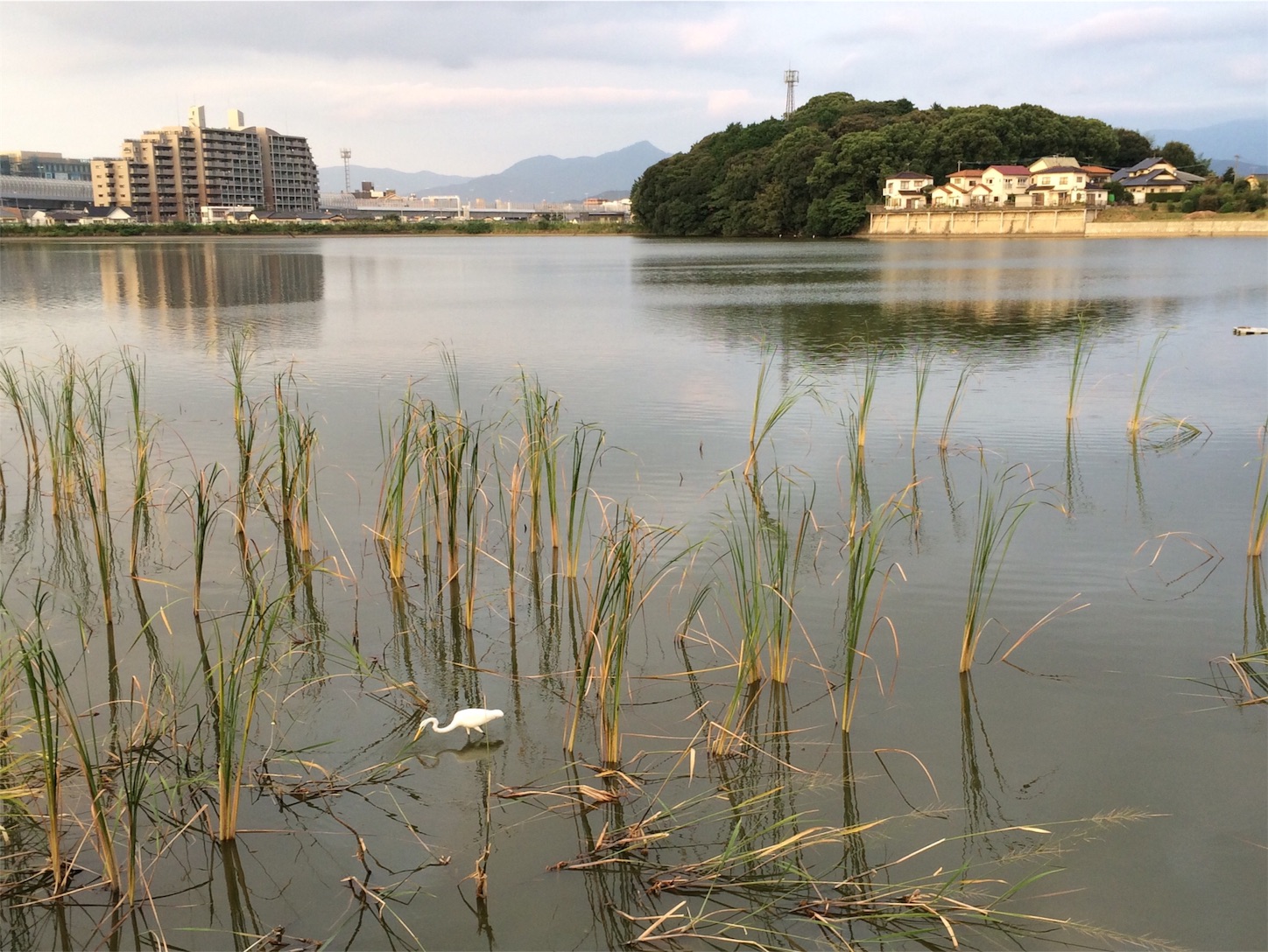 f:id:m-hatch:20150926223544j:image f:id:m-hatch:20150926223544j:image