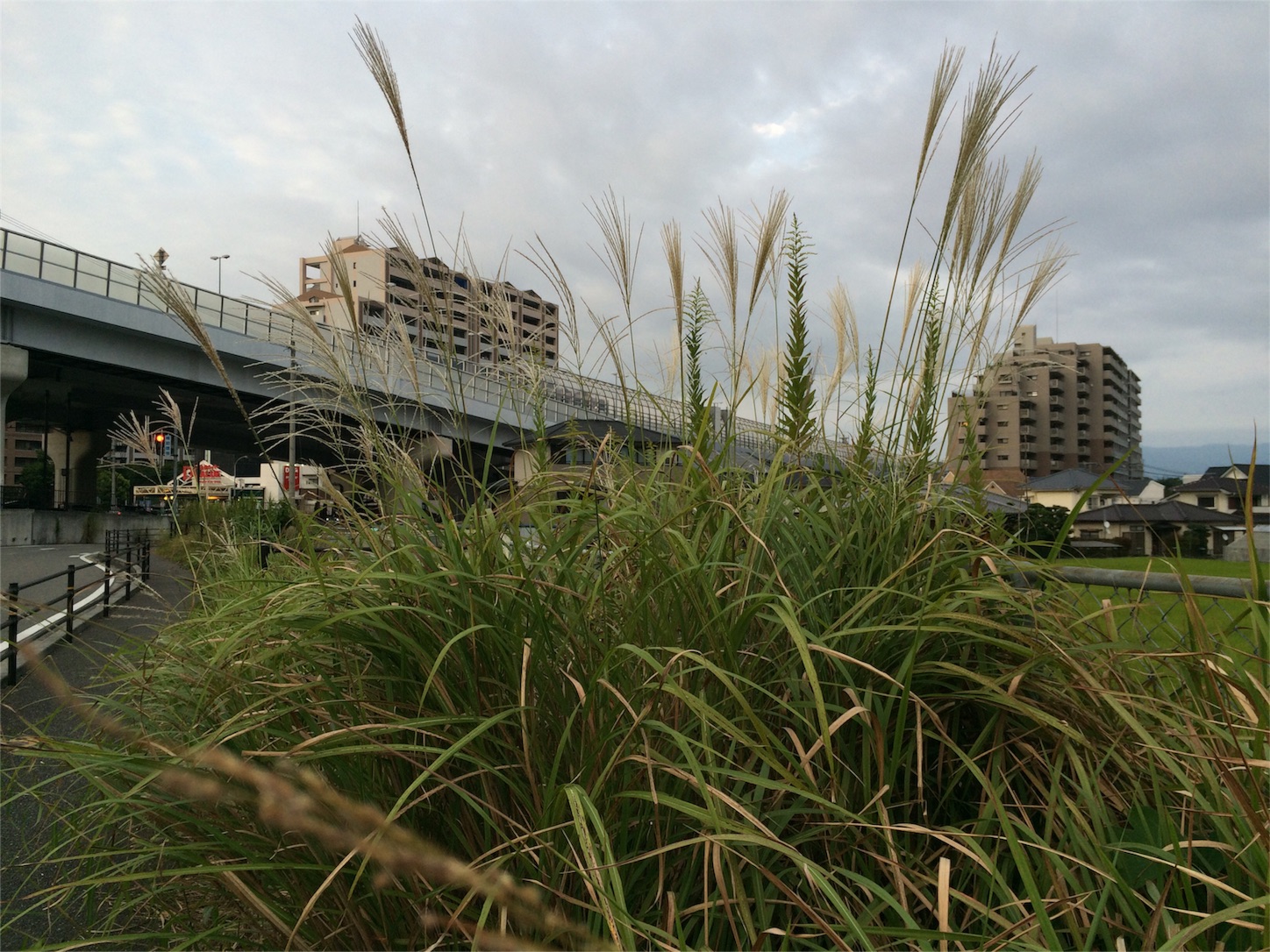 f:id:m-hatch:20150927215936j:image f:id:m-hatch:20150927215936j:image