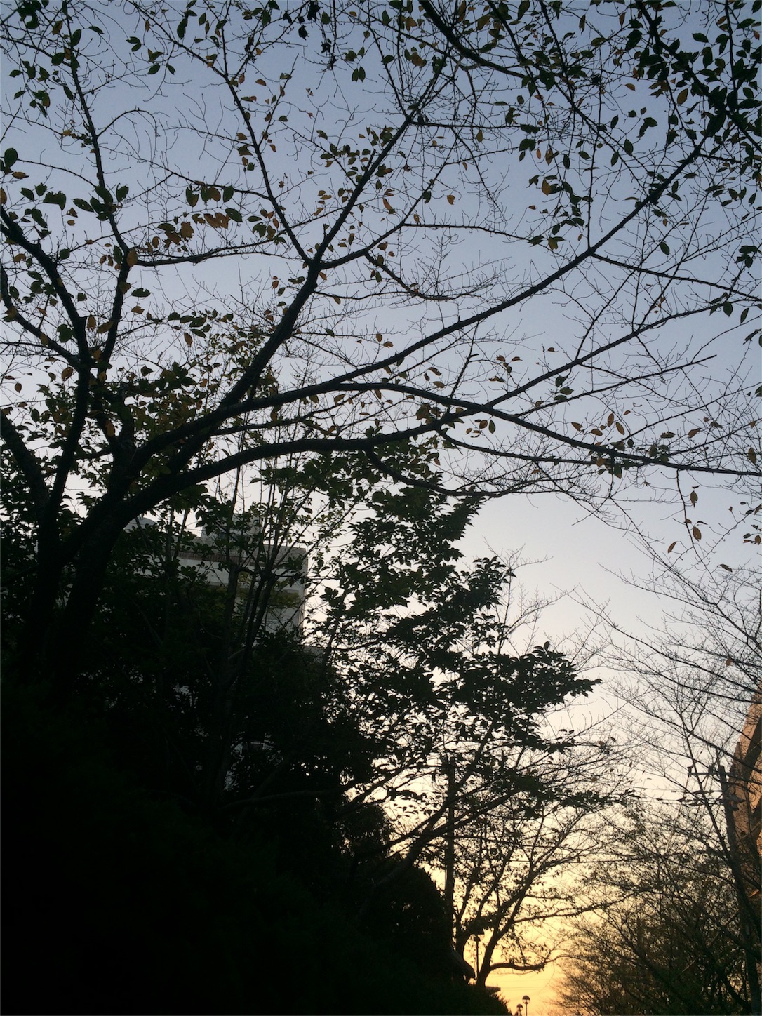 f:id:m-hatch:20150929220629j:image f:id:m-hatch:20150929220629j:image