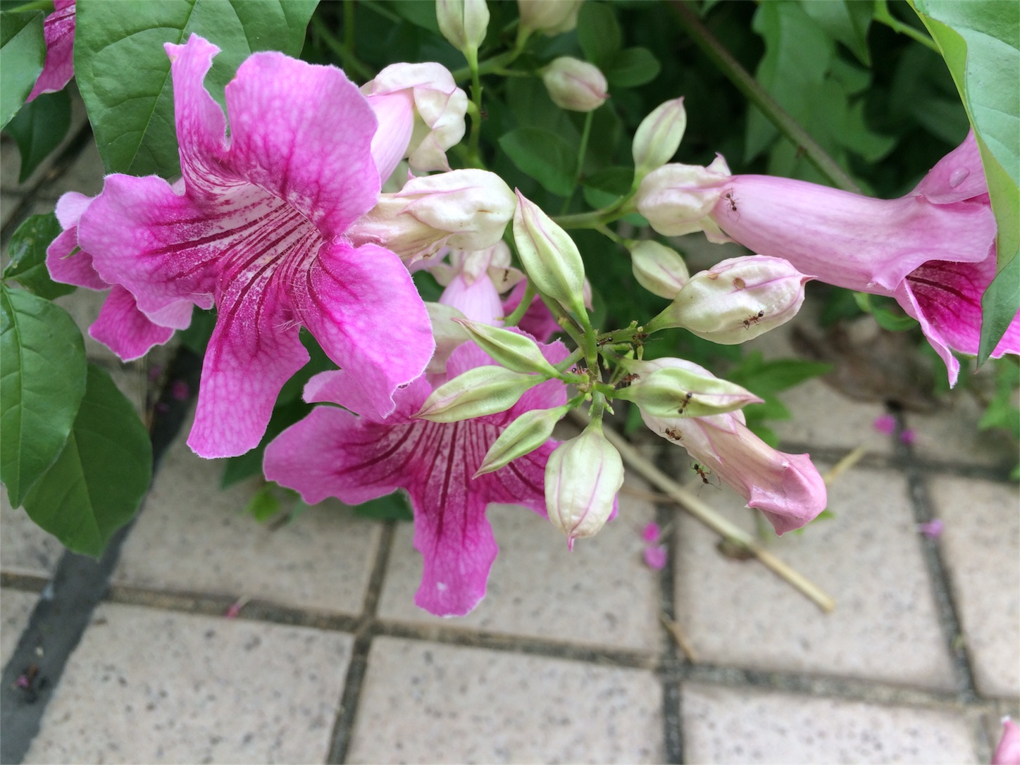 f:id:m-hatch:20150930220055j:image f:id:m-hatch:20150930220055j:image