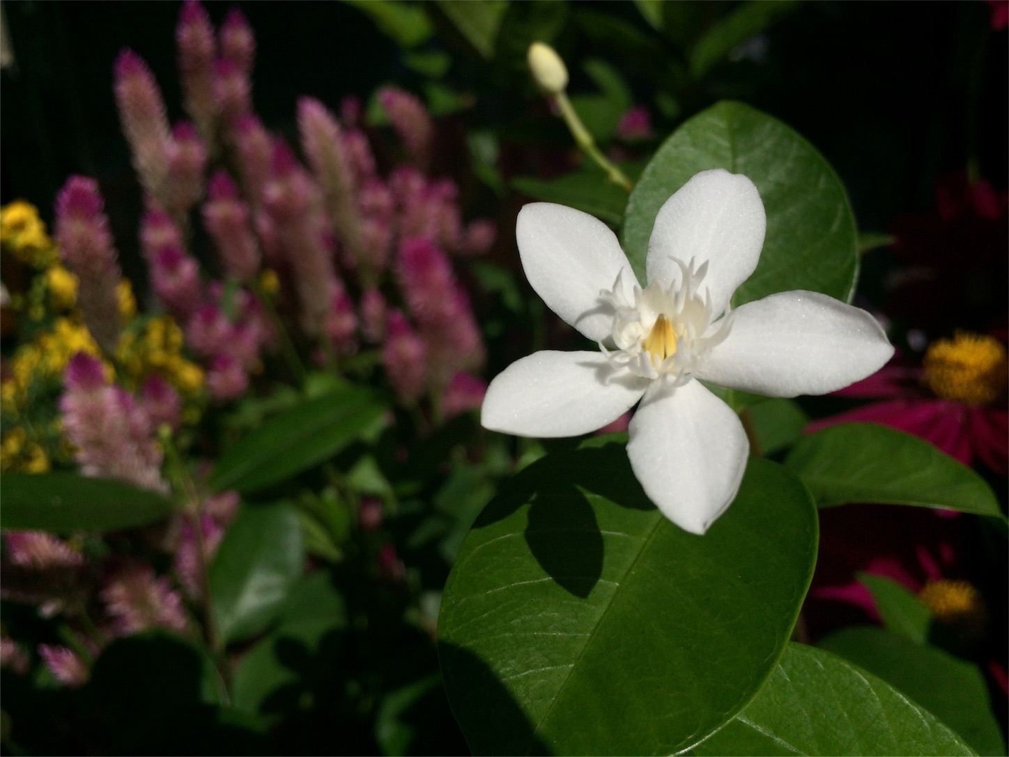 f:id:m-hatch:20151002212926j:image f:id:m-hatch:20151002212926j:image