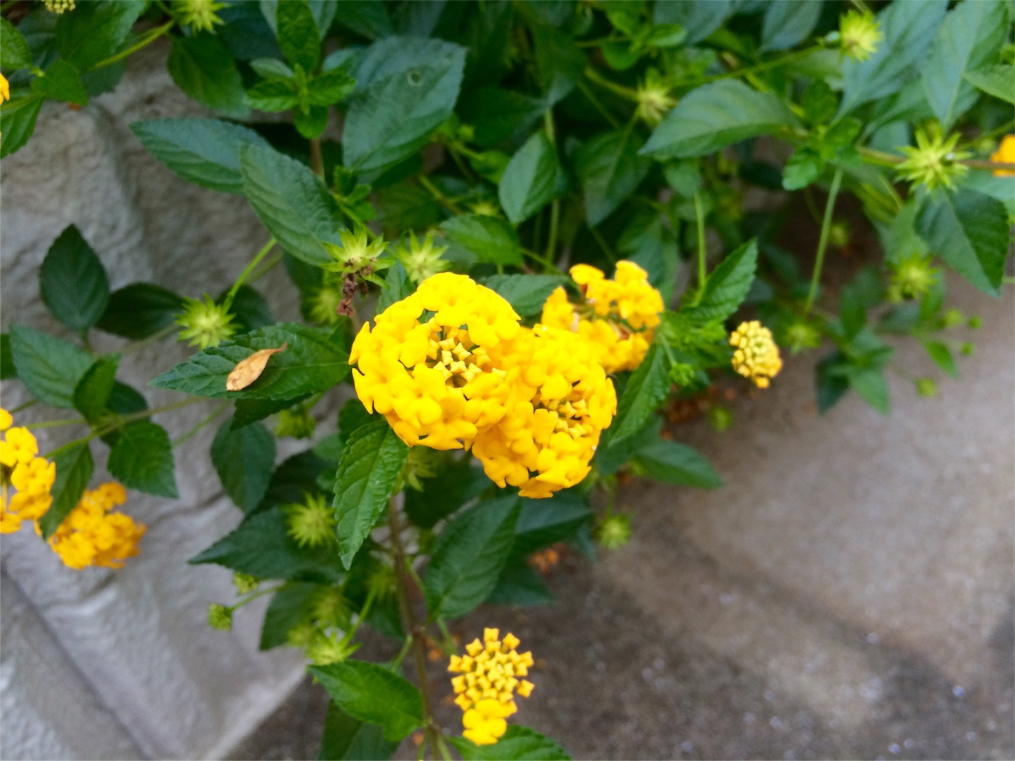 f:id:m-hatch:20151004215739j:image f:id:m-hatch:20151004215739j:image