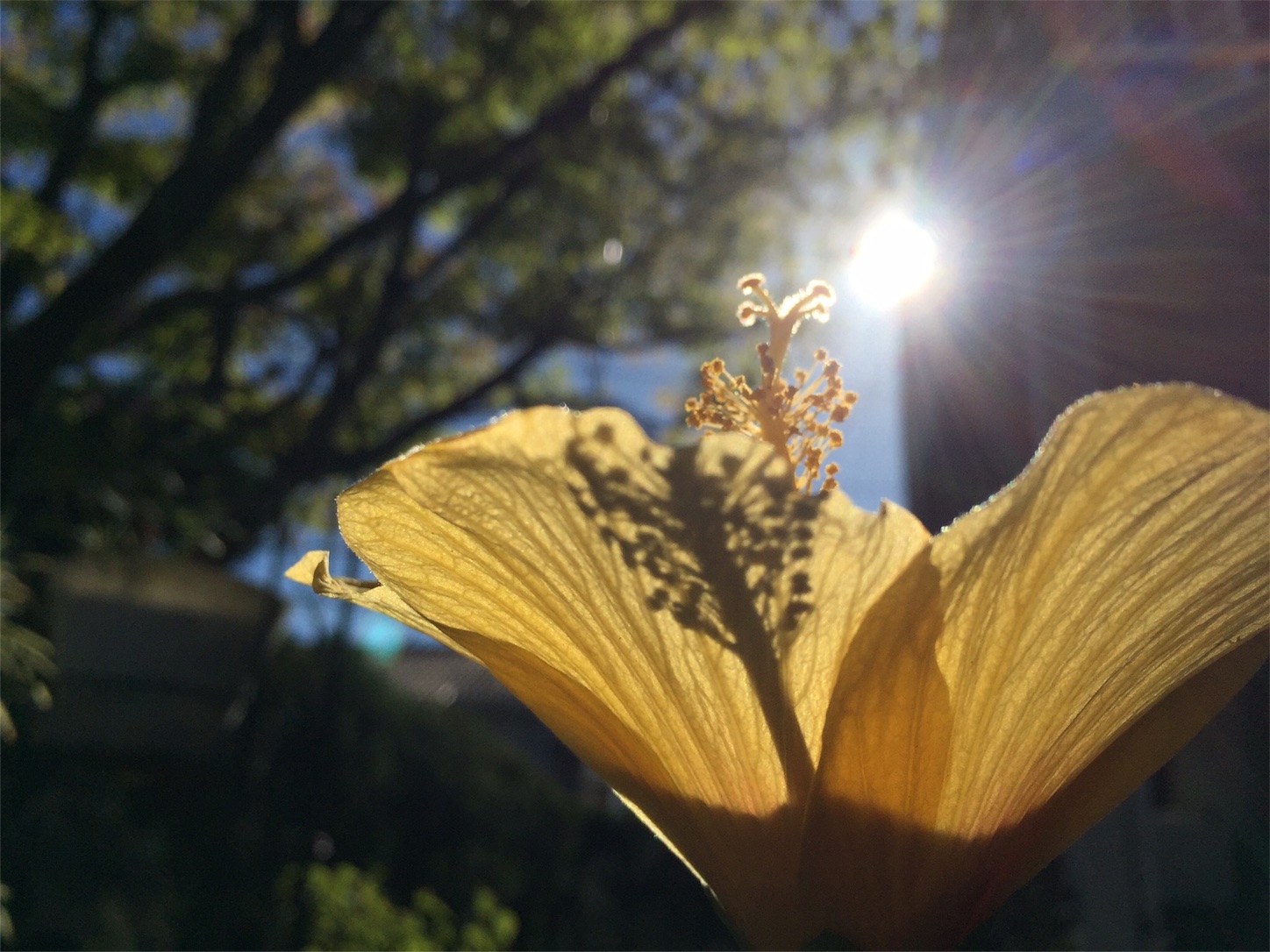 f:id:m-hatch:20151007203910j:image f:id:m-hatch:20151007203910j:image