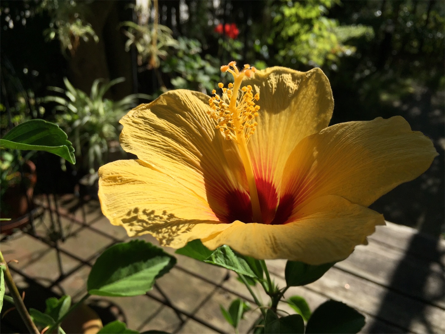 f:id:m-hatch:20151007213540j:image f:id:m-hatch:20151007213540j:image