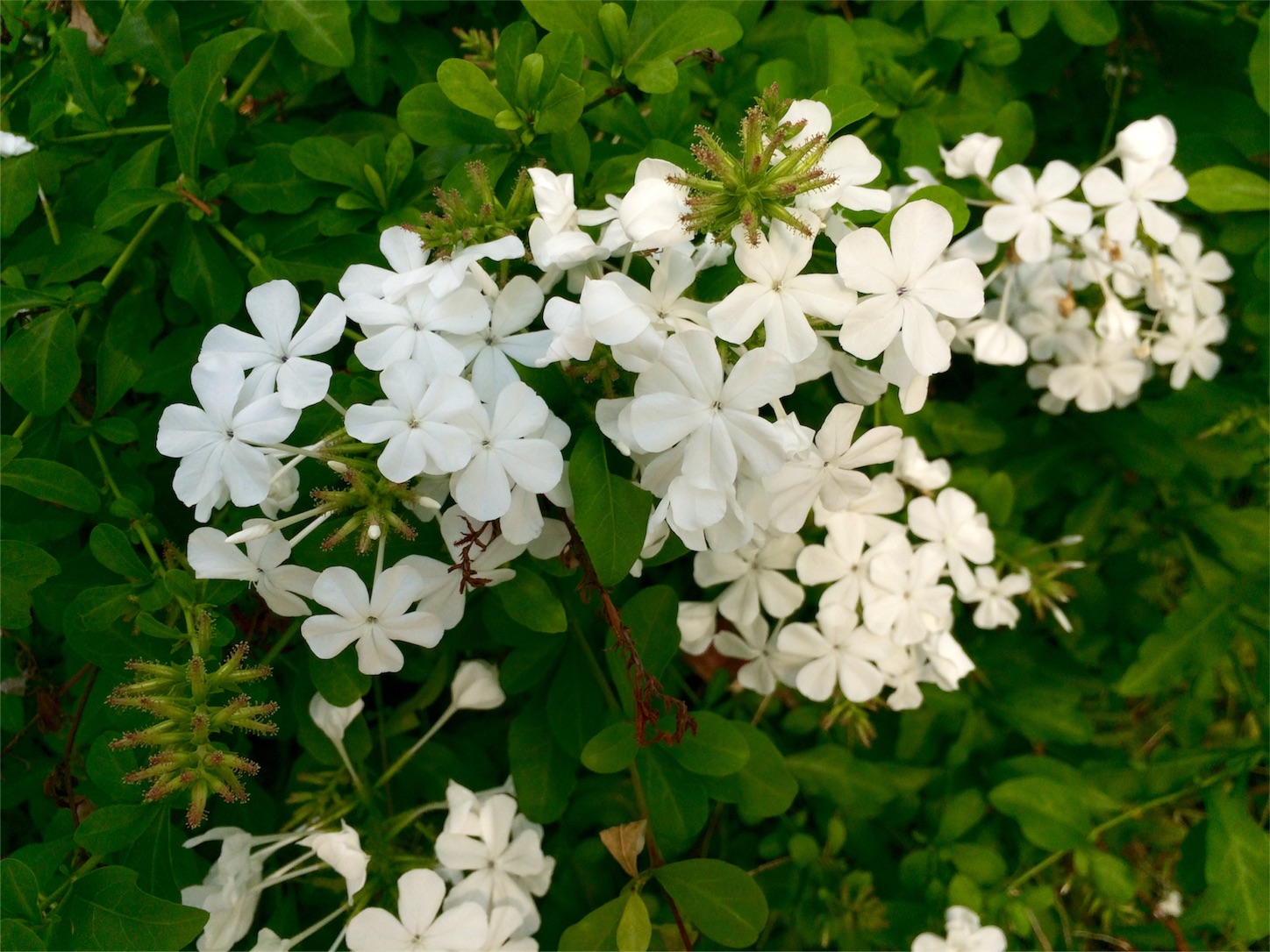 f:id:m-hatch:20151009210746j:image f:id:m-hatch:20151009210746j:image