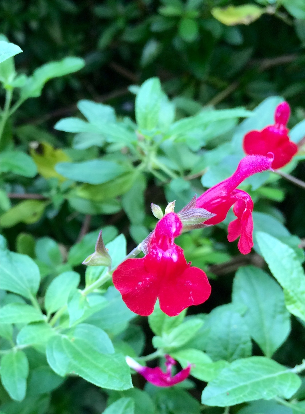 f:id:m-hatch:20151009214042j:image f:id:m-hatch:20151009214042j:image