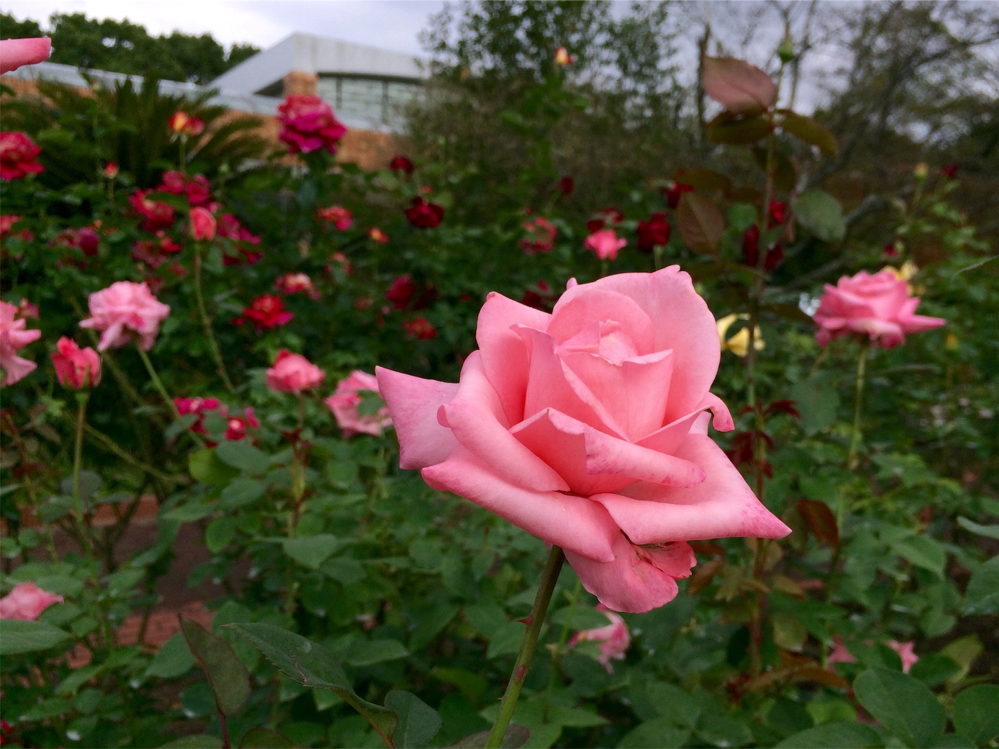 f:id:m-hatch:20151012220938j:image f:id:m-hatch:20151012220938j:image