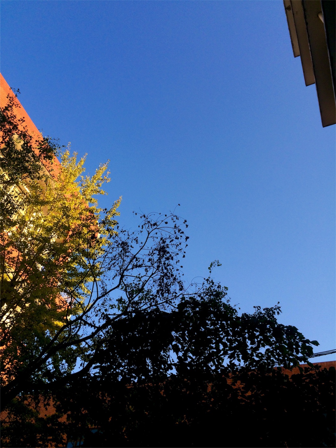 f:id:m-hatch:20151014202757j:image f:id:m-hatch:20151014202757j:image