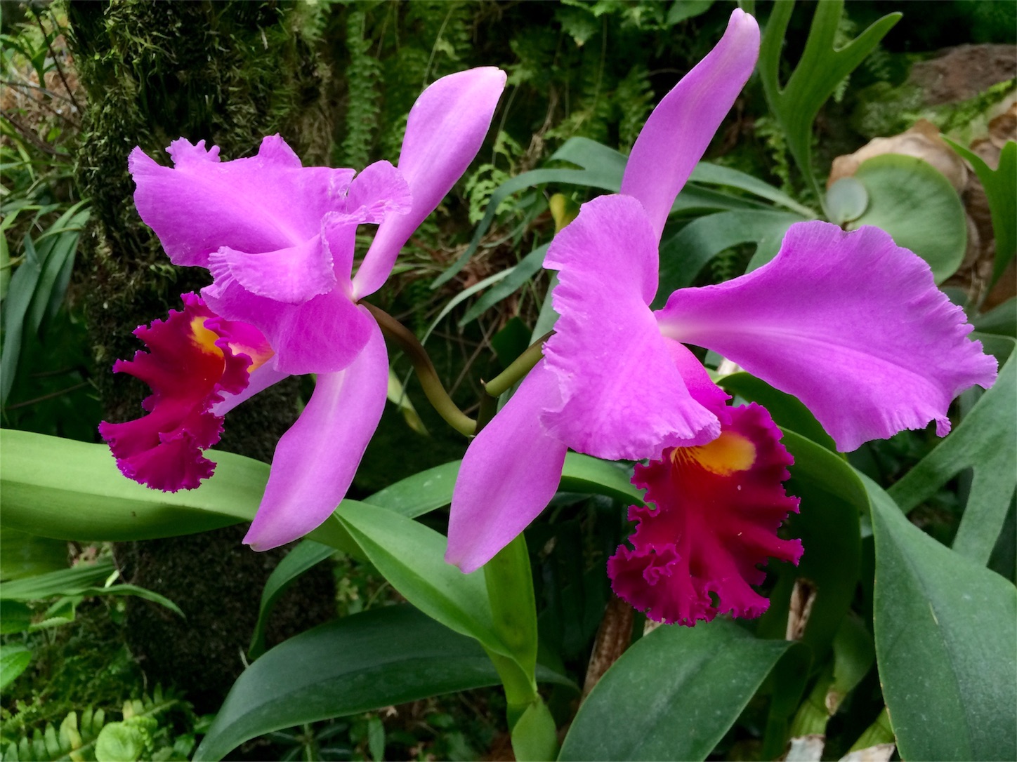 f:id:m-hatch:20151016214334j:image f:id:m-hatch:20151016214334j:image