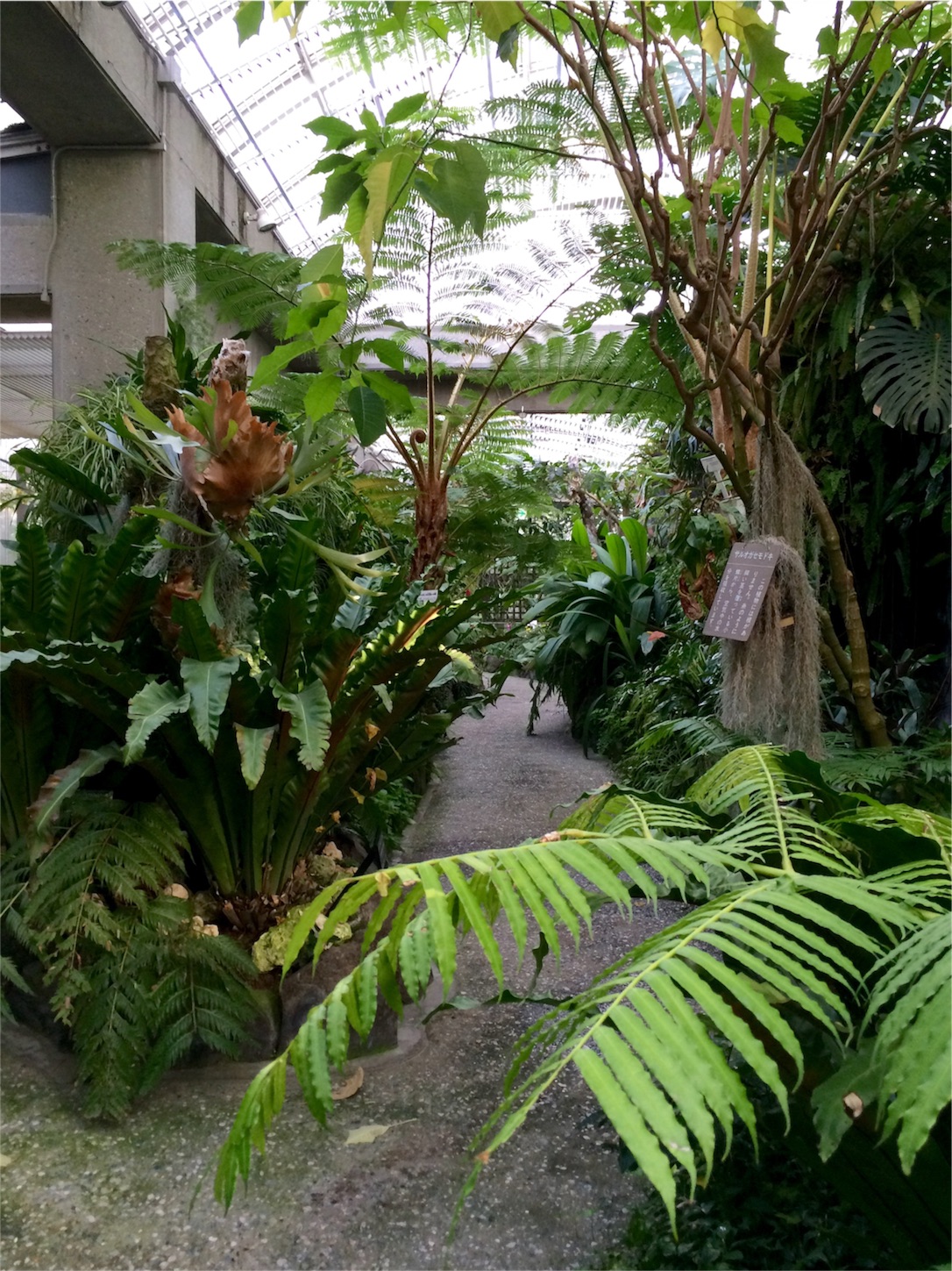 f:id:m-hatch:20151017021229j:image f:id:m-hatch:20151017021229j:image