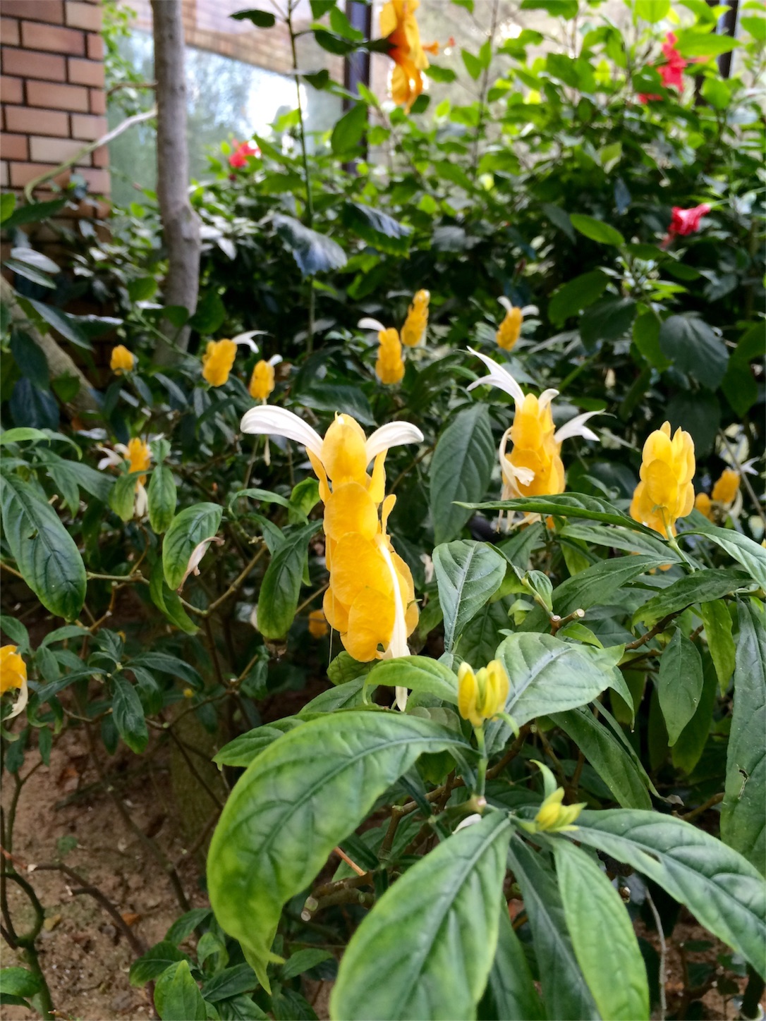 f:id:m-hatch:20151019232508j:image f:id:m-hatch:20151019232508j:image