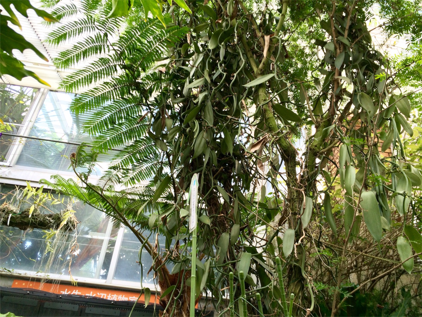 f:id:m-hatch:20151019232604j:image f:id:m-hatch:20151019232604j:image