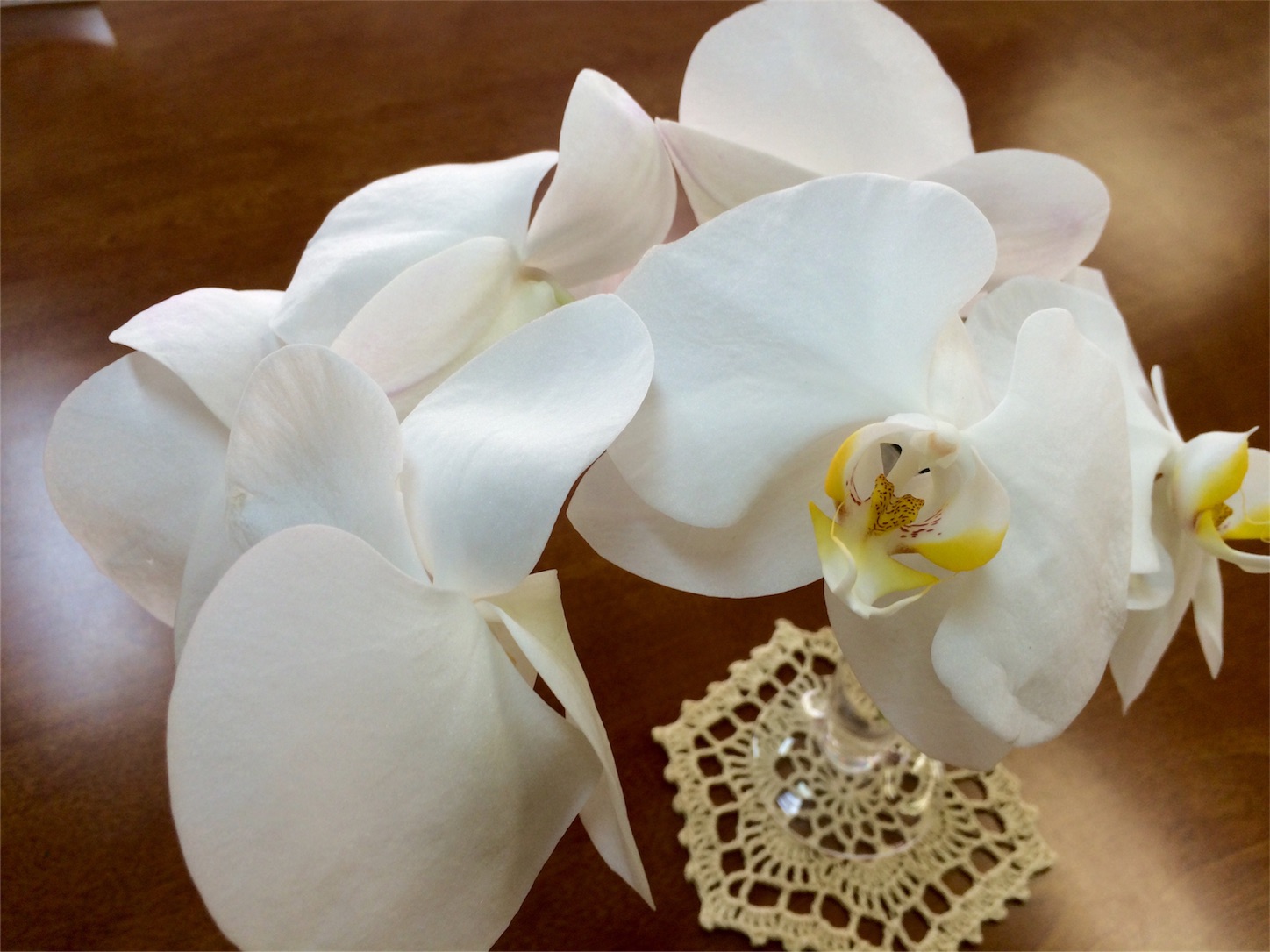 f:id:m-hatch:20151024185554j:image f:id:m-hatch:20151024185554j:image