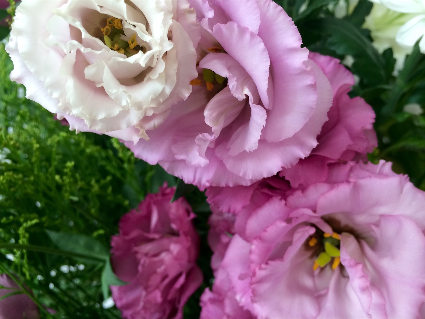 f:id:m-hatch:20151025201720j:image f:id:m-hatch:20151025201720j:image