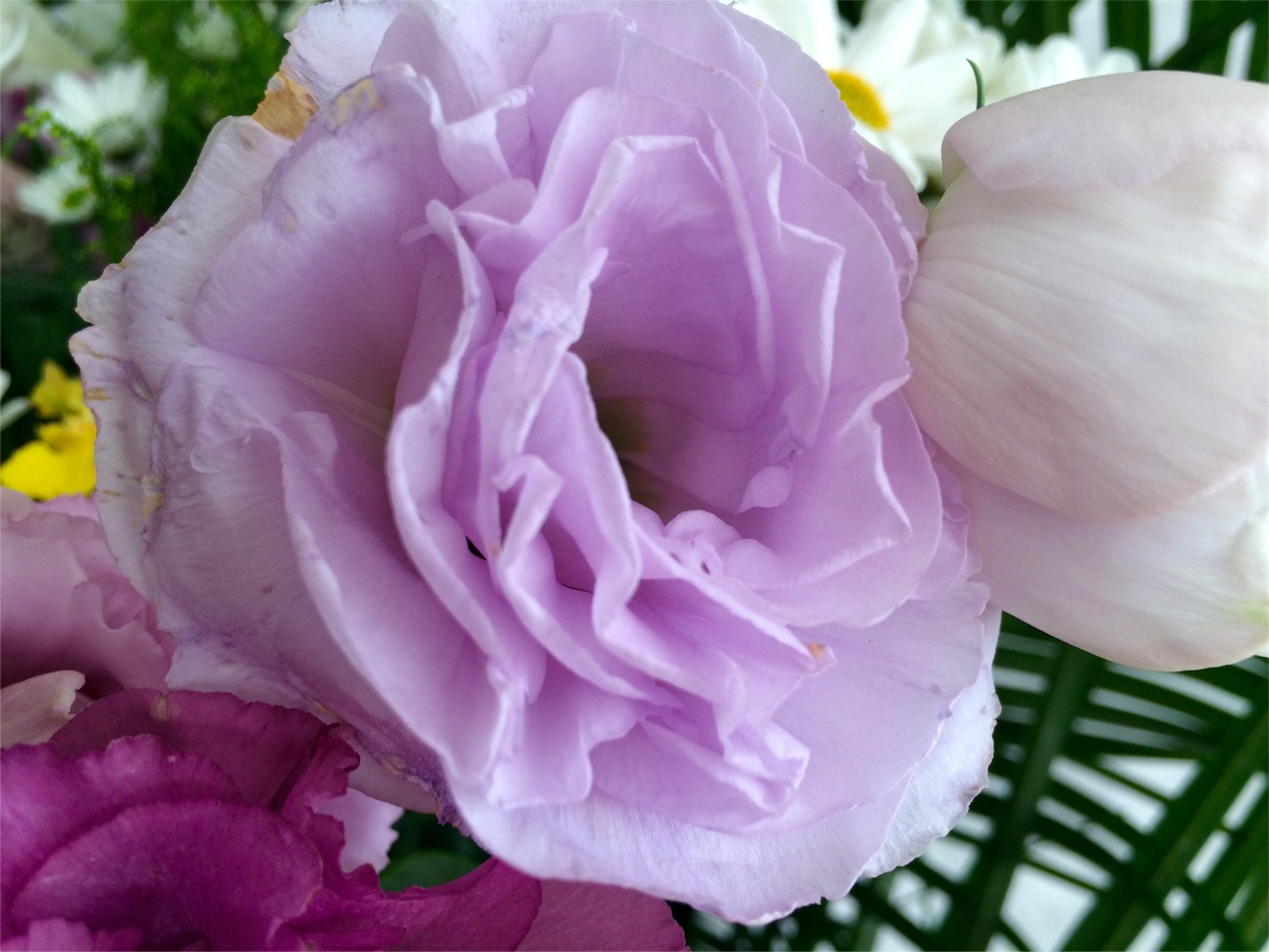 f:id:m-hatch:20151025214517j:image f:id:m-hatch:20151025214517j:image