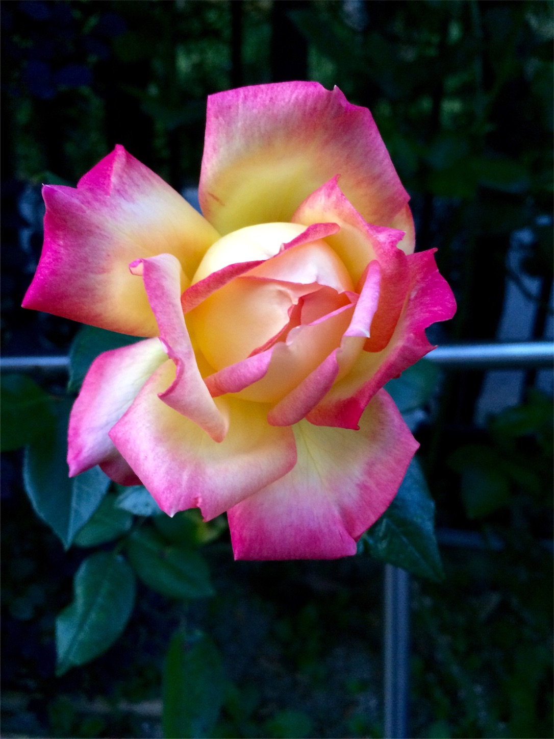 f:id:m-hatch:20151106211846j:image f:id:m-hatch:20151106211846j:image