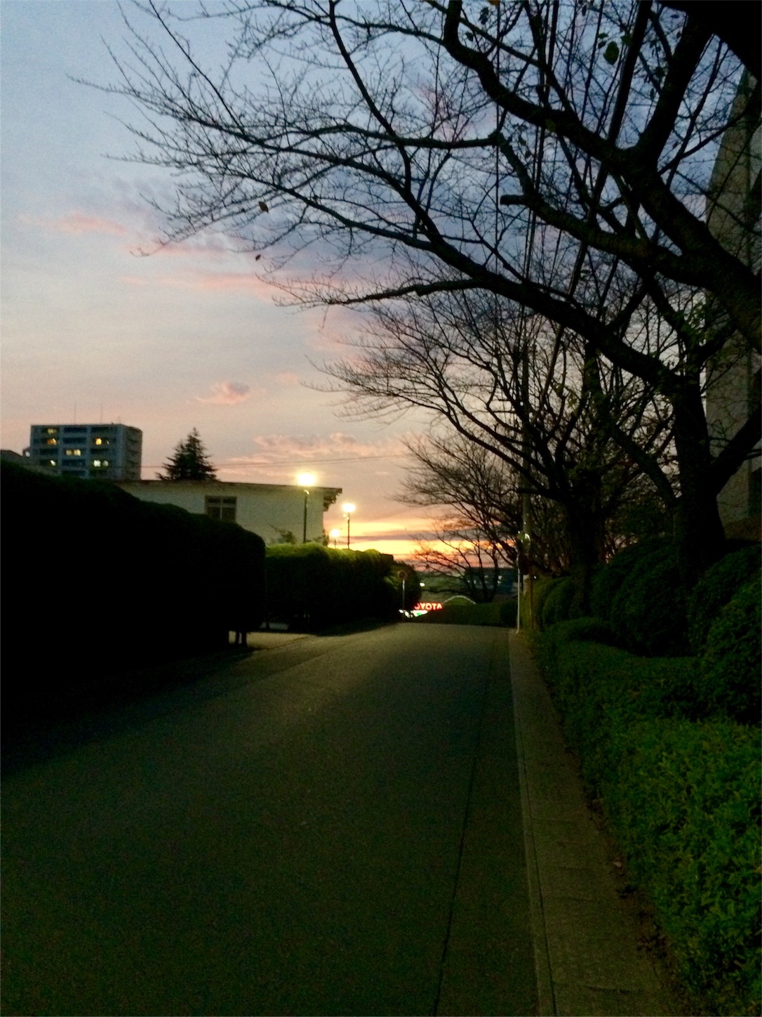 f:id:m-hatch:20151106222552j:image f:id:m-hatch:20151106222552j:image