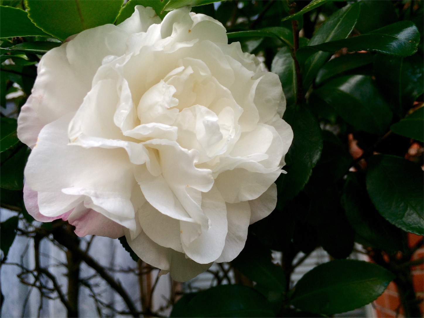 f:id:m-hatch:20151110202507j:image f:id:m-hatch:20151110202507j:image