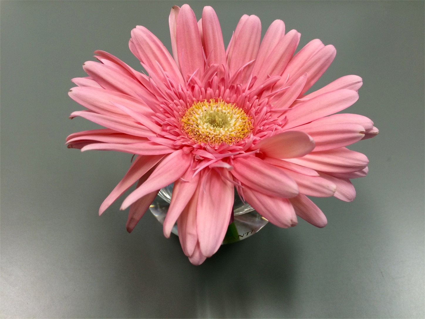 f:id:m-hatch:20151111215323j:image f:id:m-hatch:20151111215323j:image