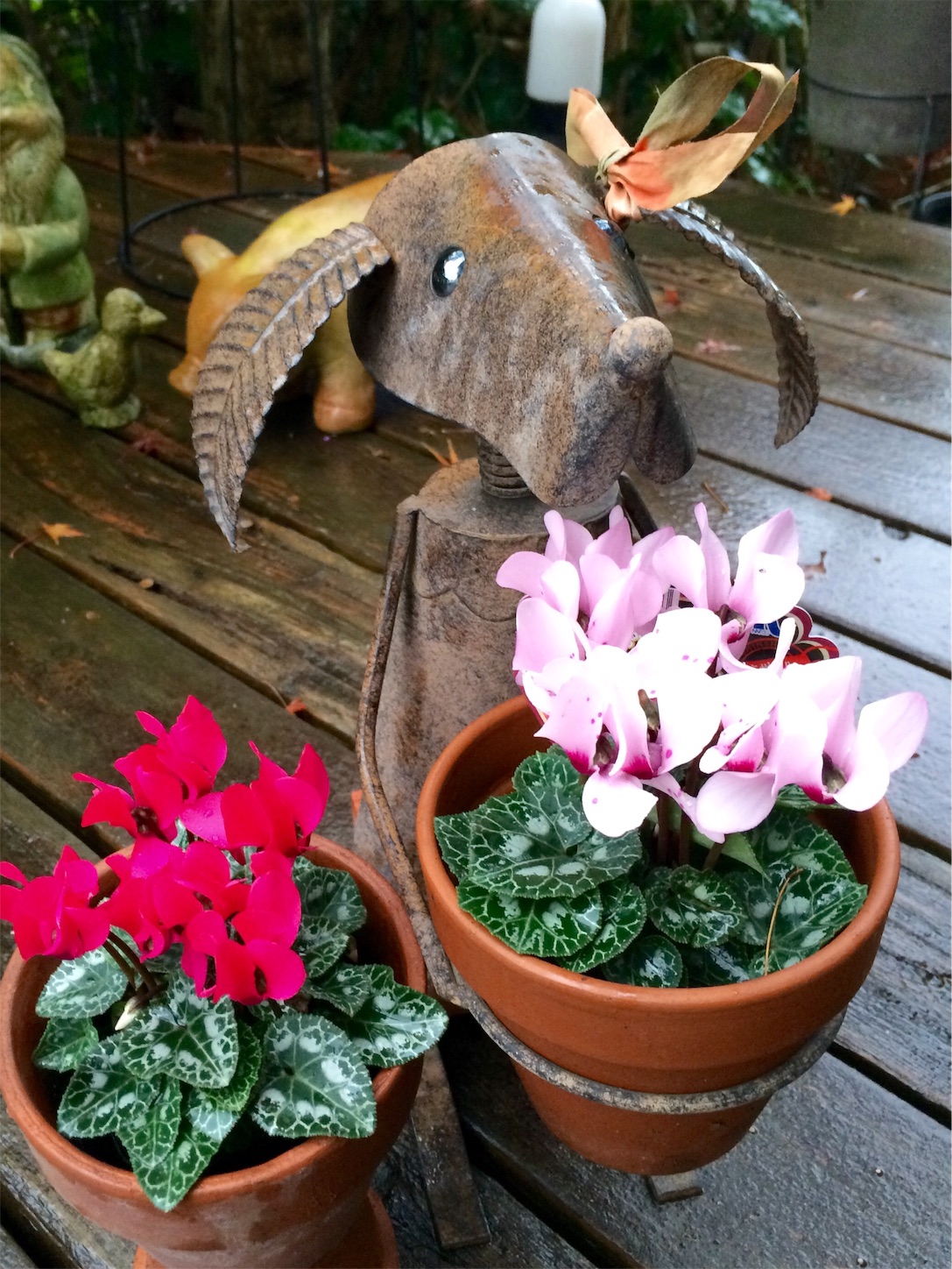 f:id:m-hatch:20151114191914j:image f:id:m-hatch:20151114191914j:image