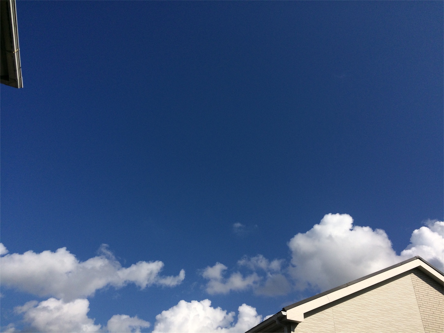 f:id:m-hatch:20151115202537j:image f:id:m-hatch:20151115202537j:image