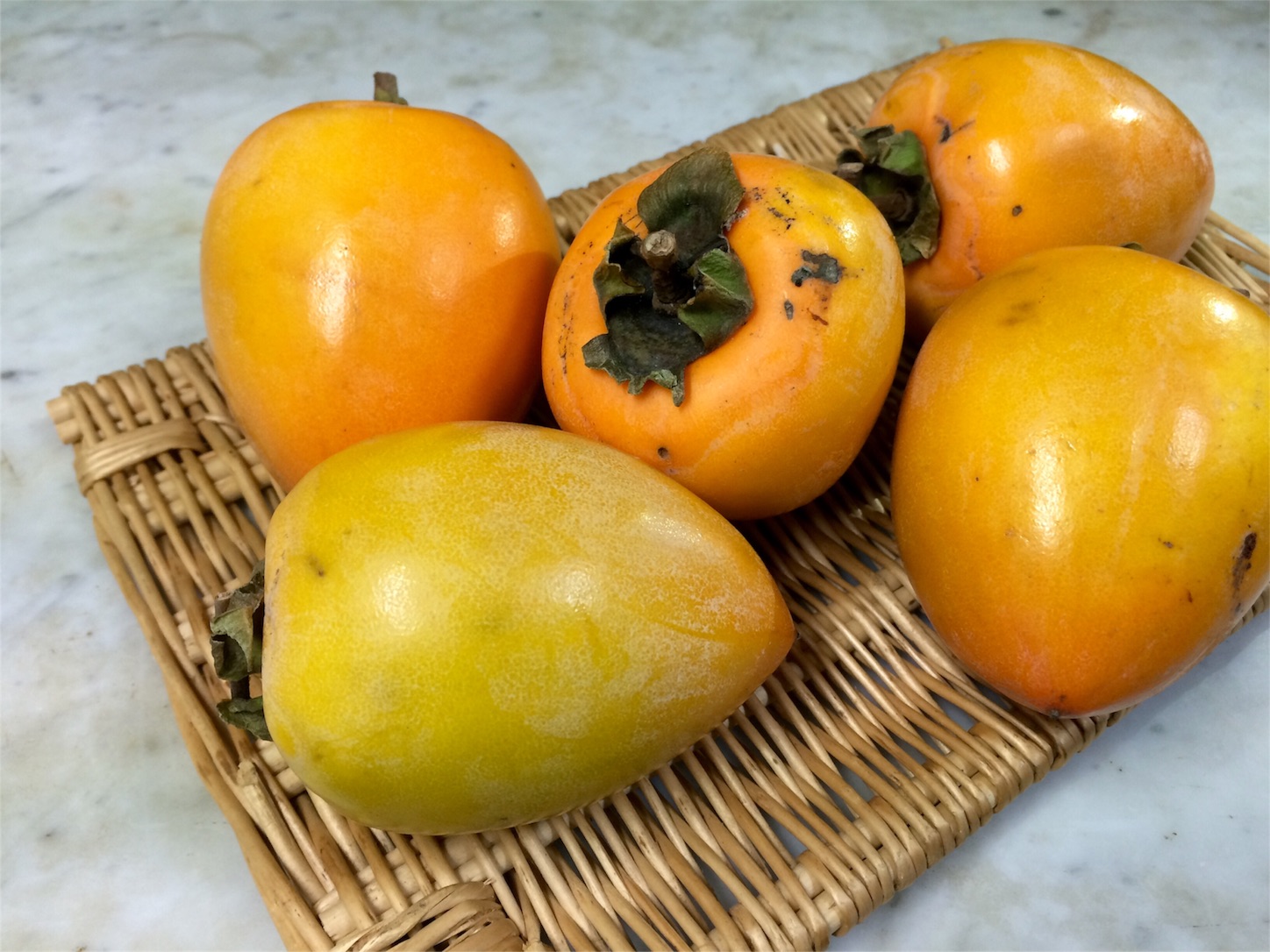 f:id:m-hatch:20151116235718j:image f:id:m-hatch:20151116235718j:image