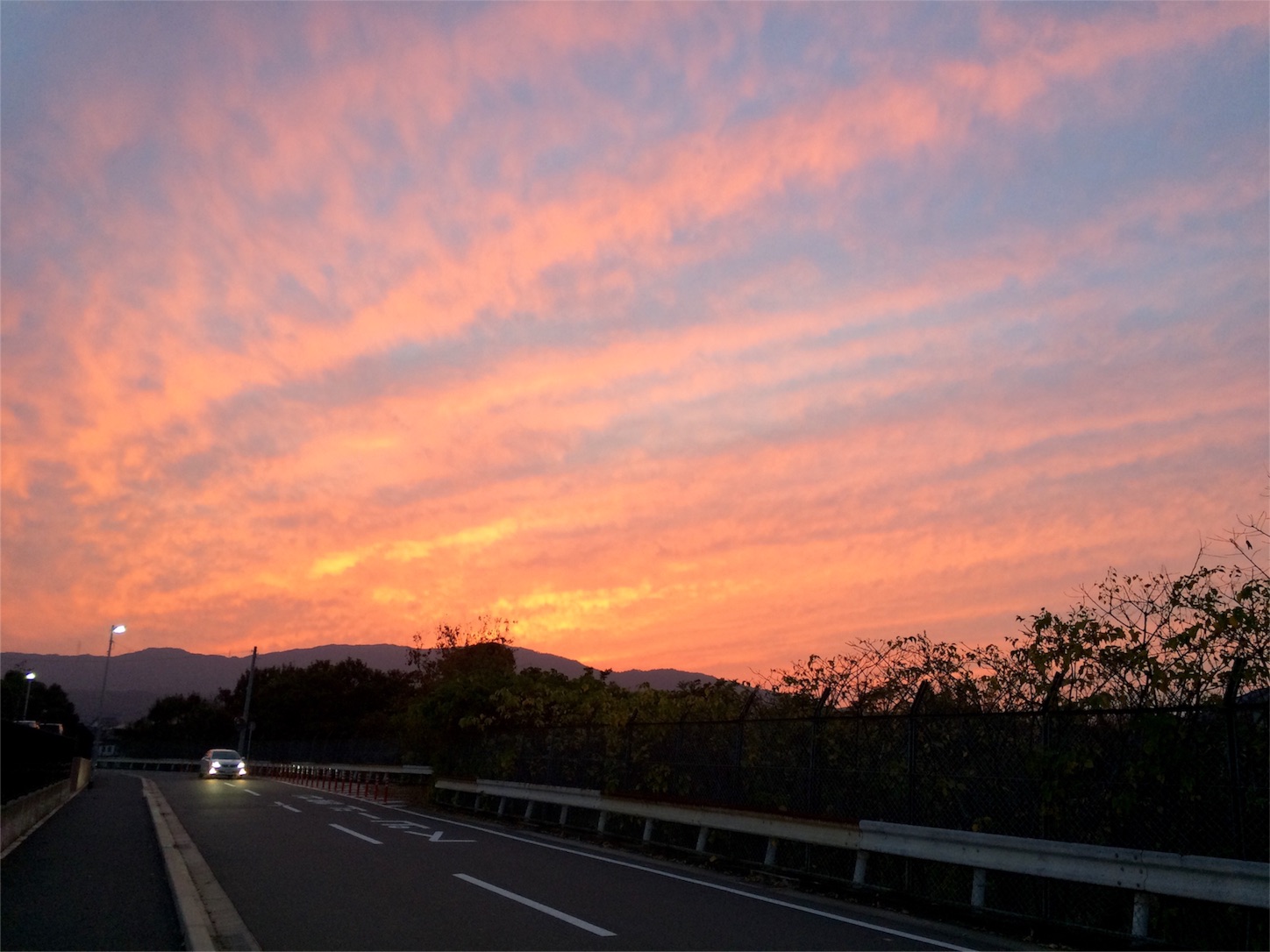 f:id:m-hatch:20151122185748j:image f:id:m-hatch:20151122185748j:image