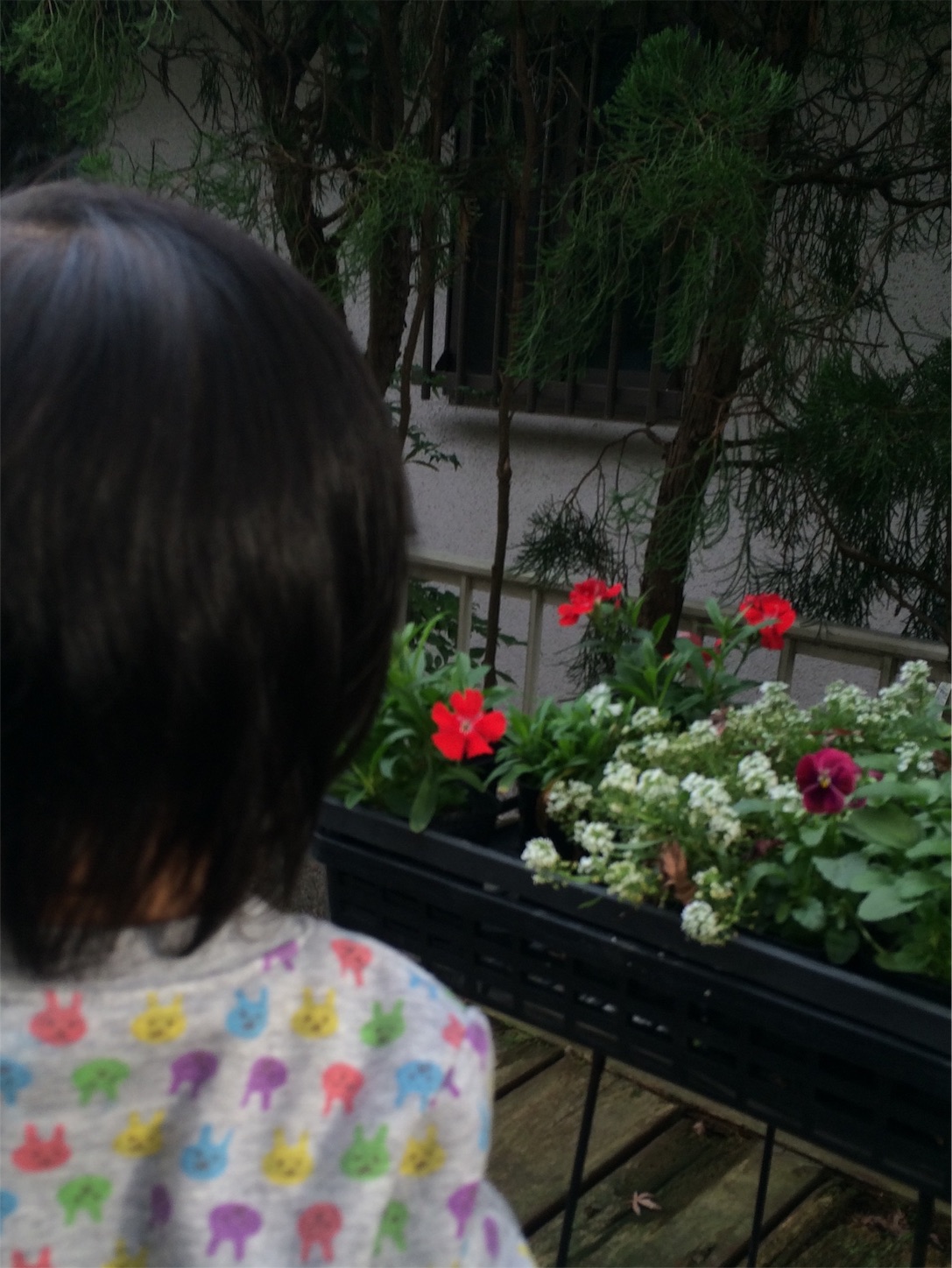 f:id:m-hatch:20151122204039j:image f:id:m-hatch:20151122204039j:image