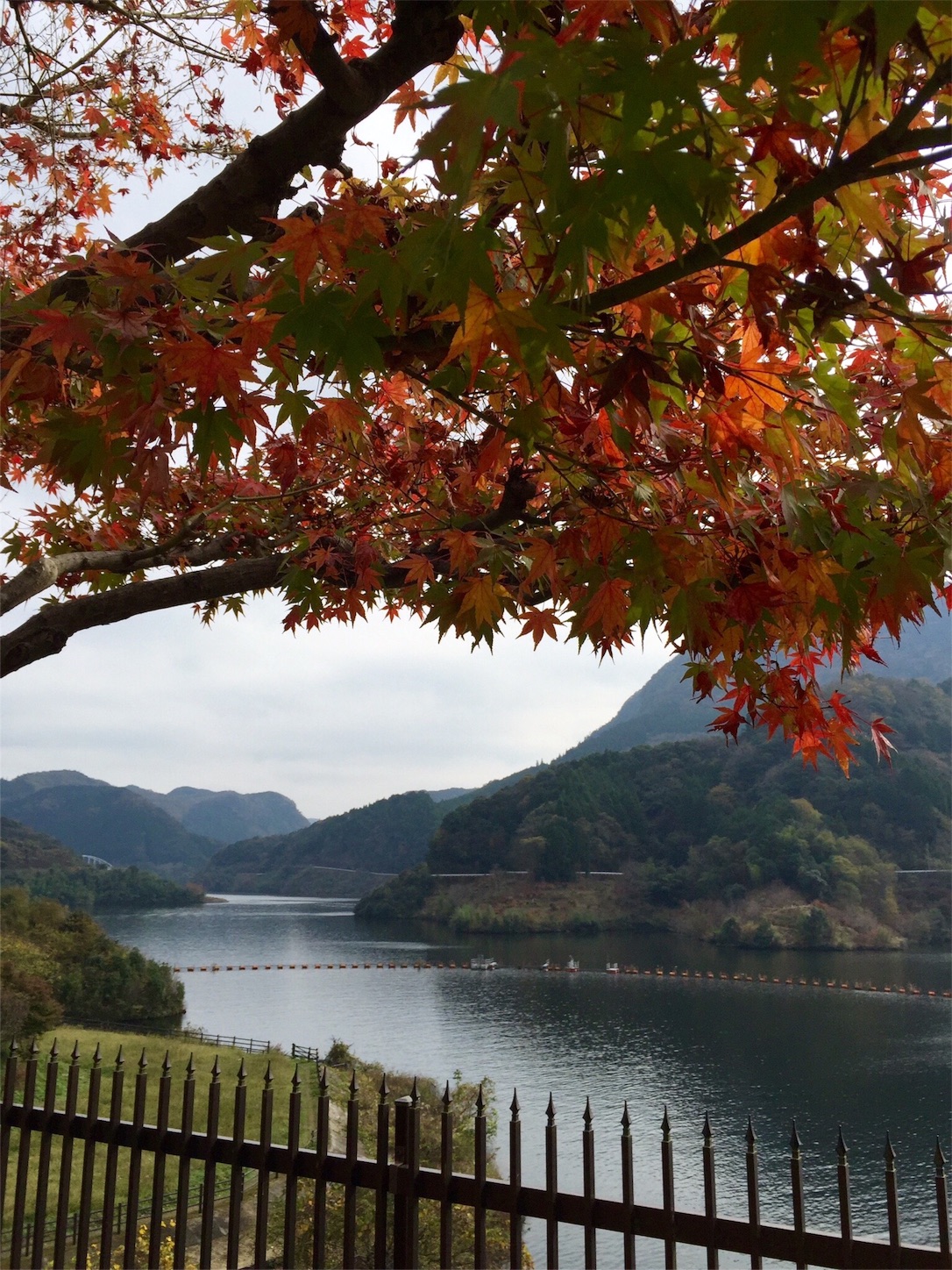 f:id:m-hatch:20151124224348j:image f:id:m-hatch:20151124224348j:image