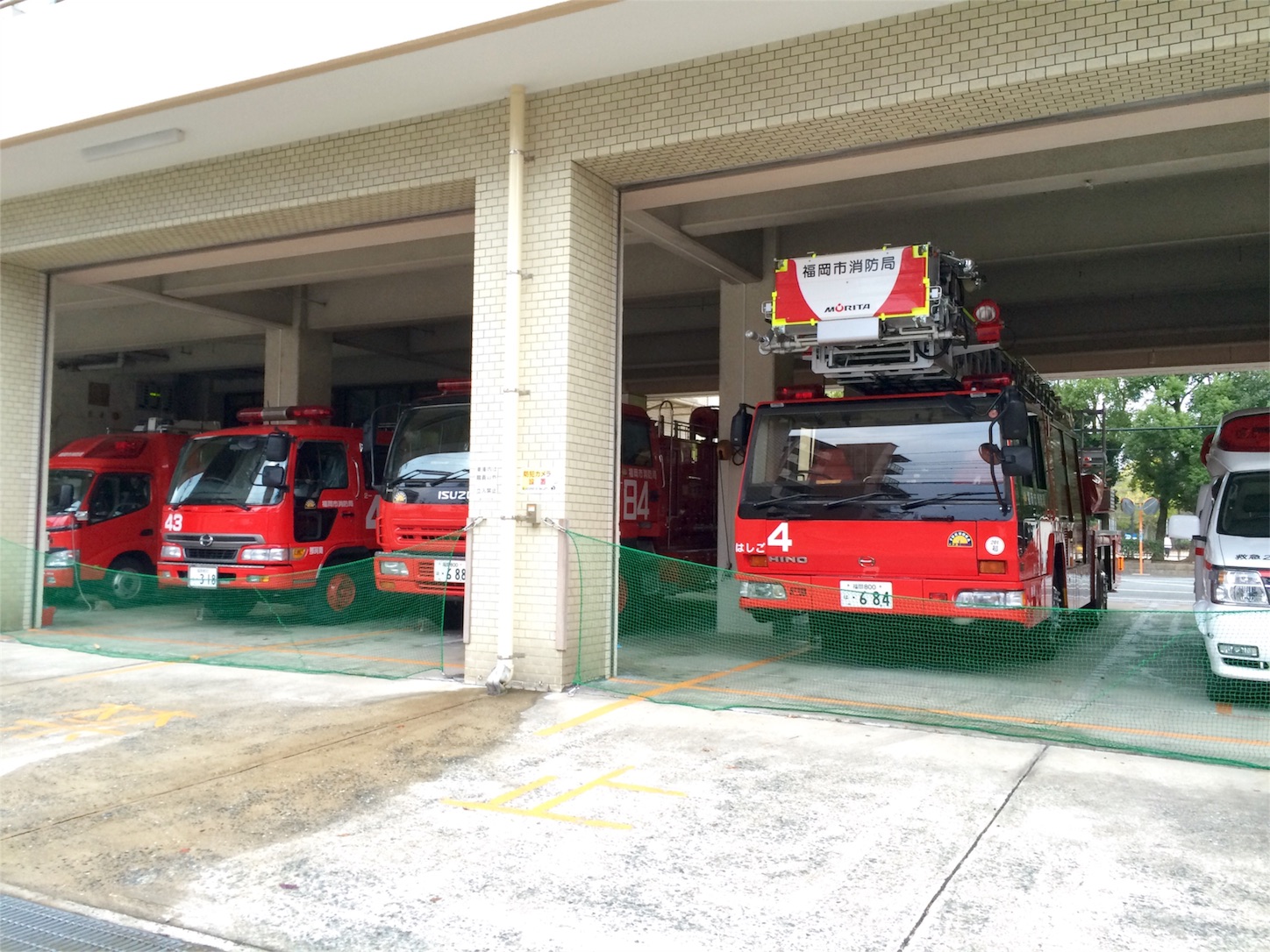 f:id:m-hatch:20151128193316j:image f:id:m-hatch:20151128193316j:image
