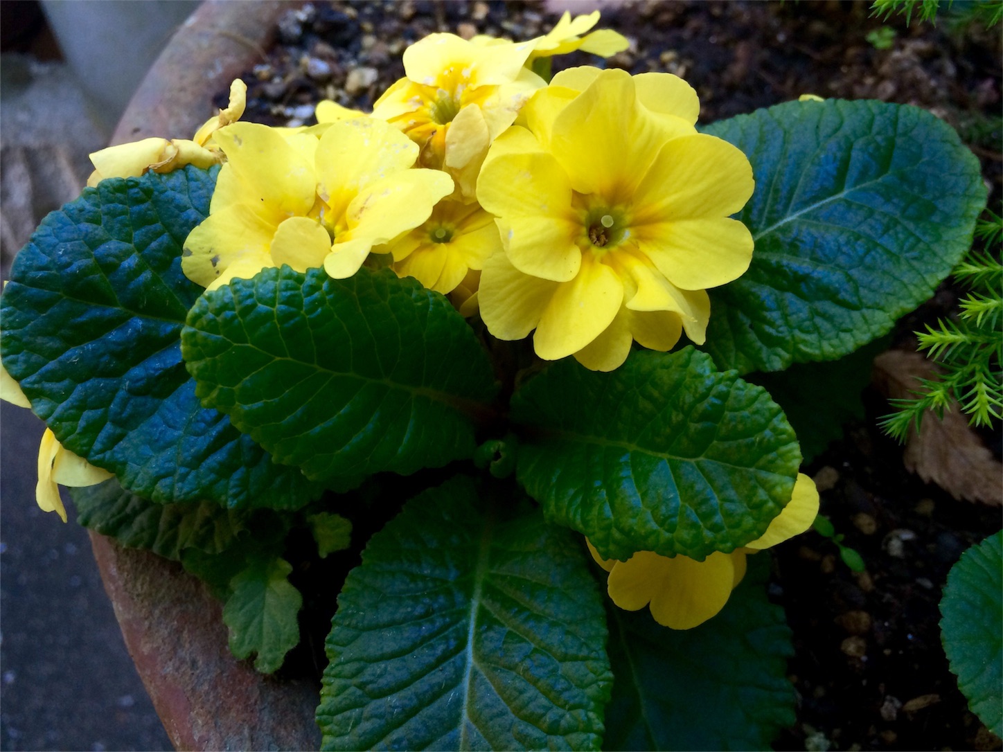 f:id:m-hatch:20151202204126j:image f:id:m-hatch:20151202204126j:image