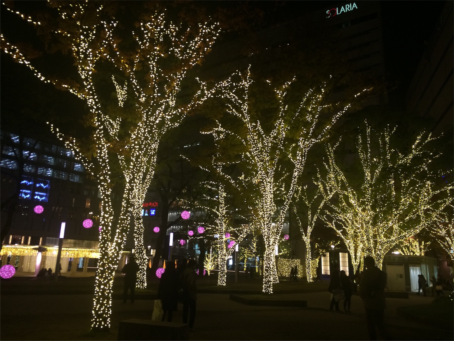 f:id:m-hatch:20151205192259j:image f:id:m-hatch:20151205192259j:image