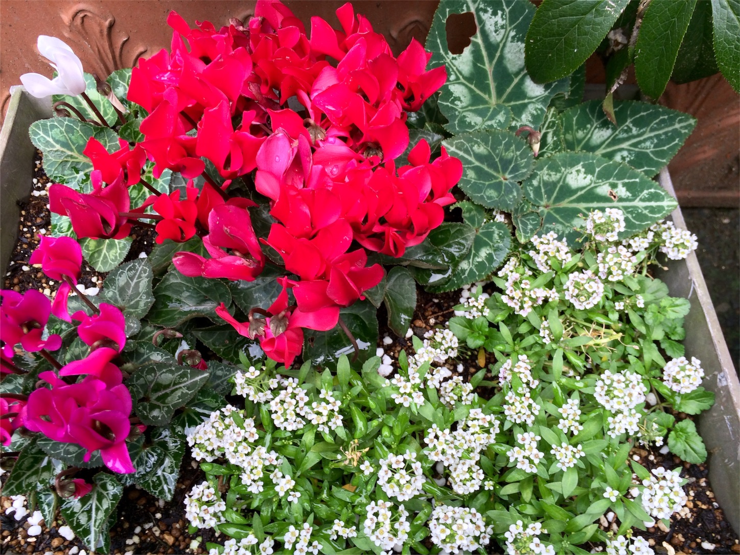 f:id:m-hatch:20151214235327j:image f:id:m-hatch:20151214235327j:image