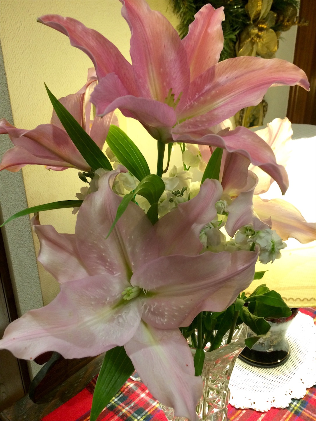 f:id:m-hatch:20151224192456j:image f:id:m-hatch:20151224192456j:image