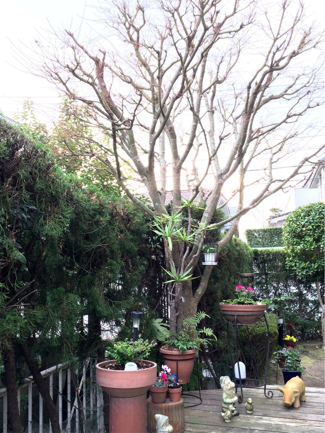 f:id:m-hatch:20151227201442j:image f:id:m-hatch:20151227201442j:image