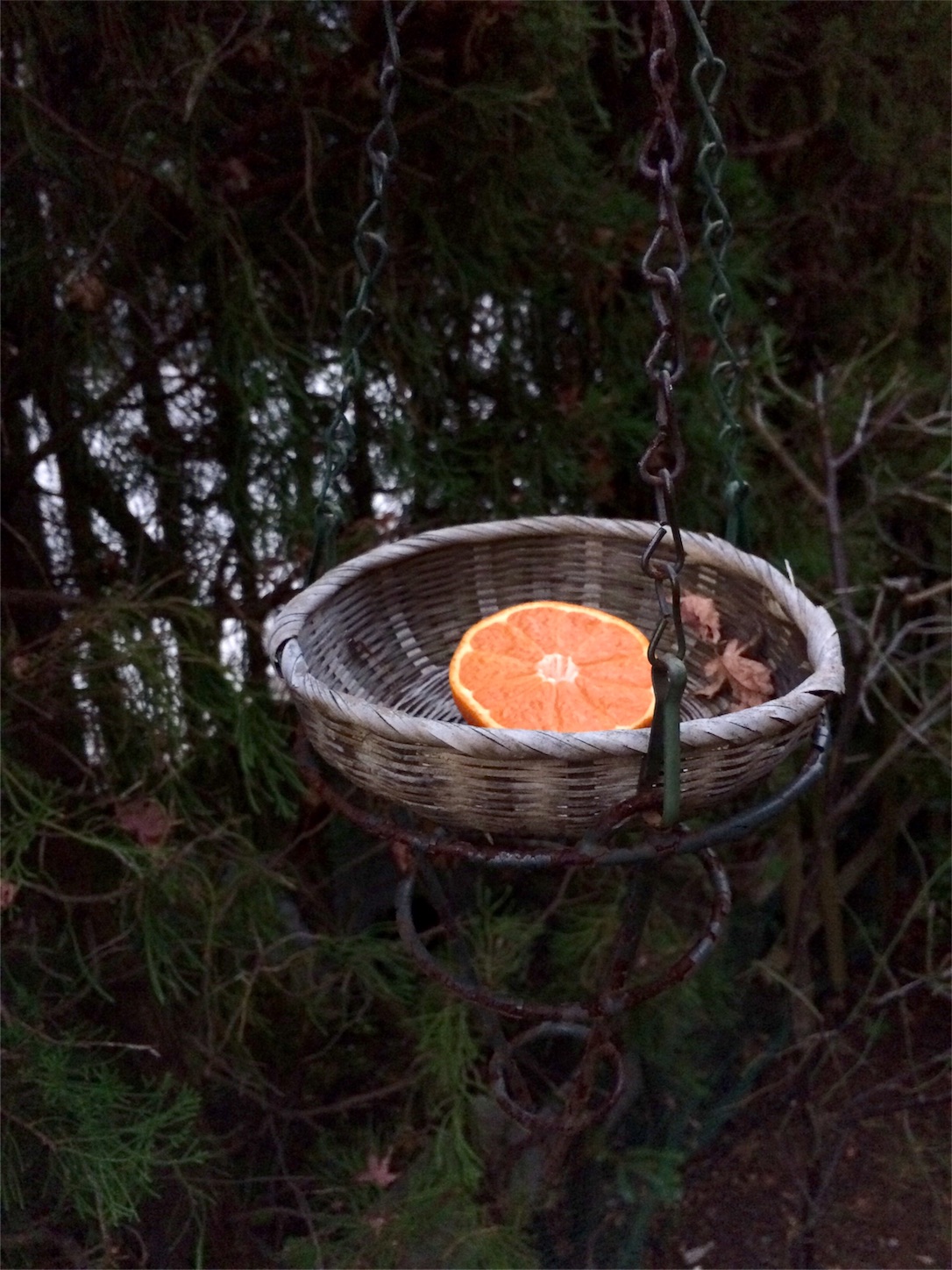 f:id:m-hatch:20151227201841j:image f:id:m-hatch:20151227201841j:image
